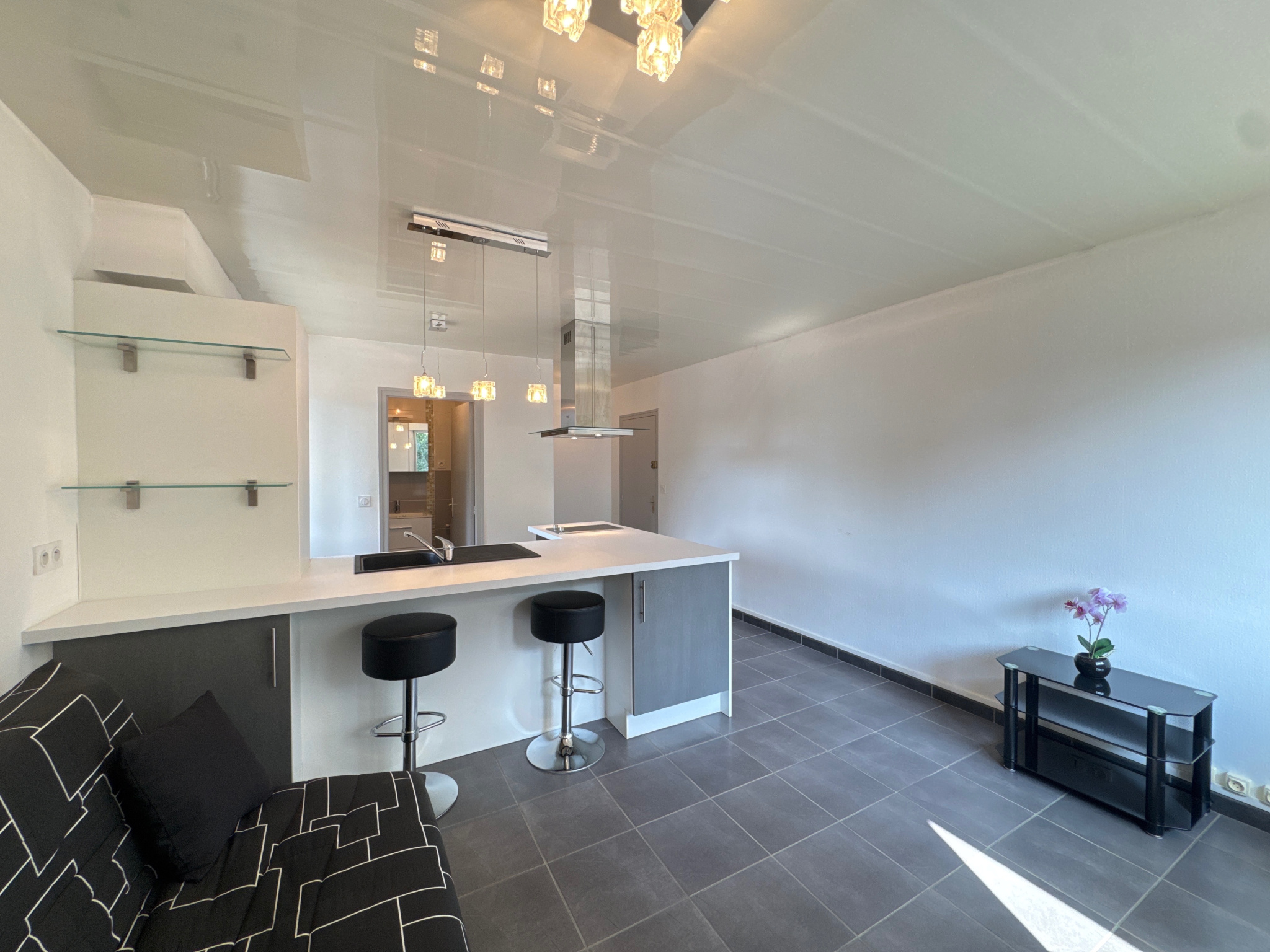 vente appartement THONON LES BAINS