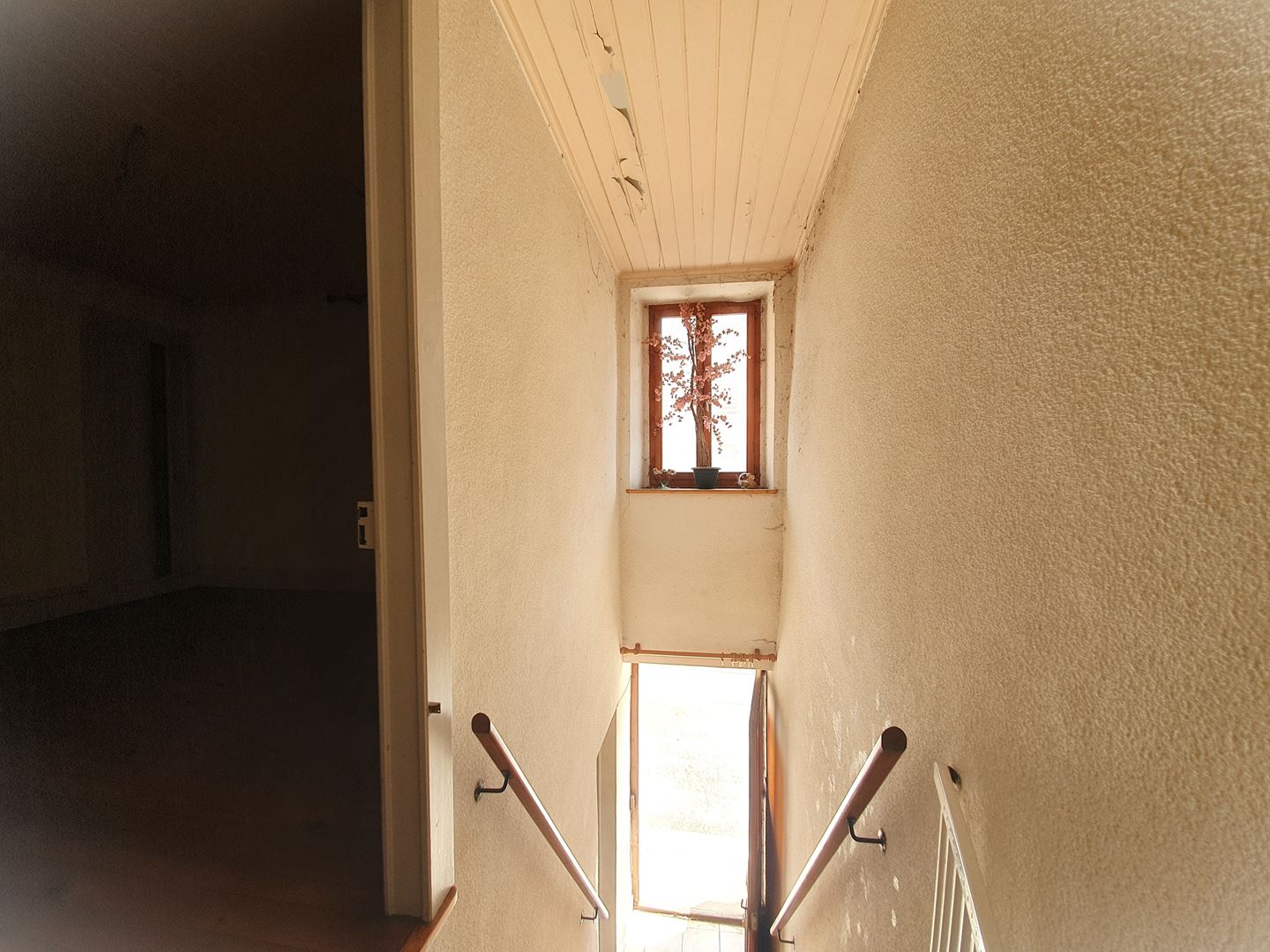 vente maison BOEGE