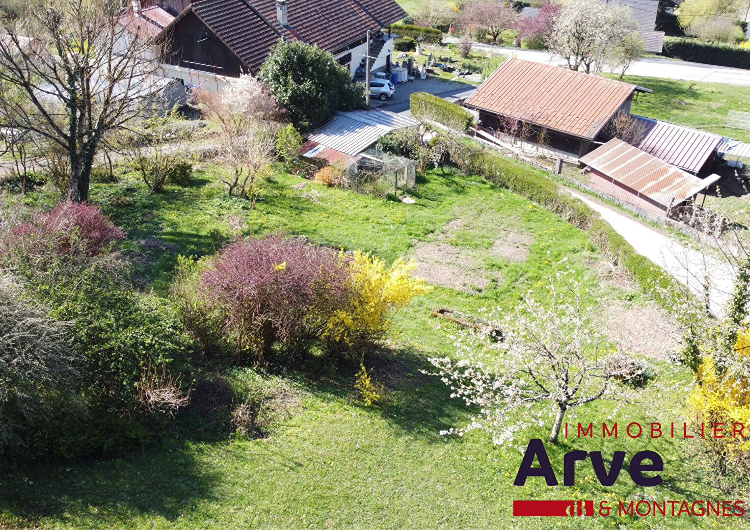vente terrain 