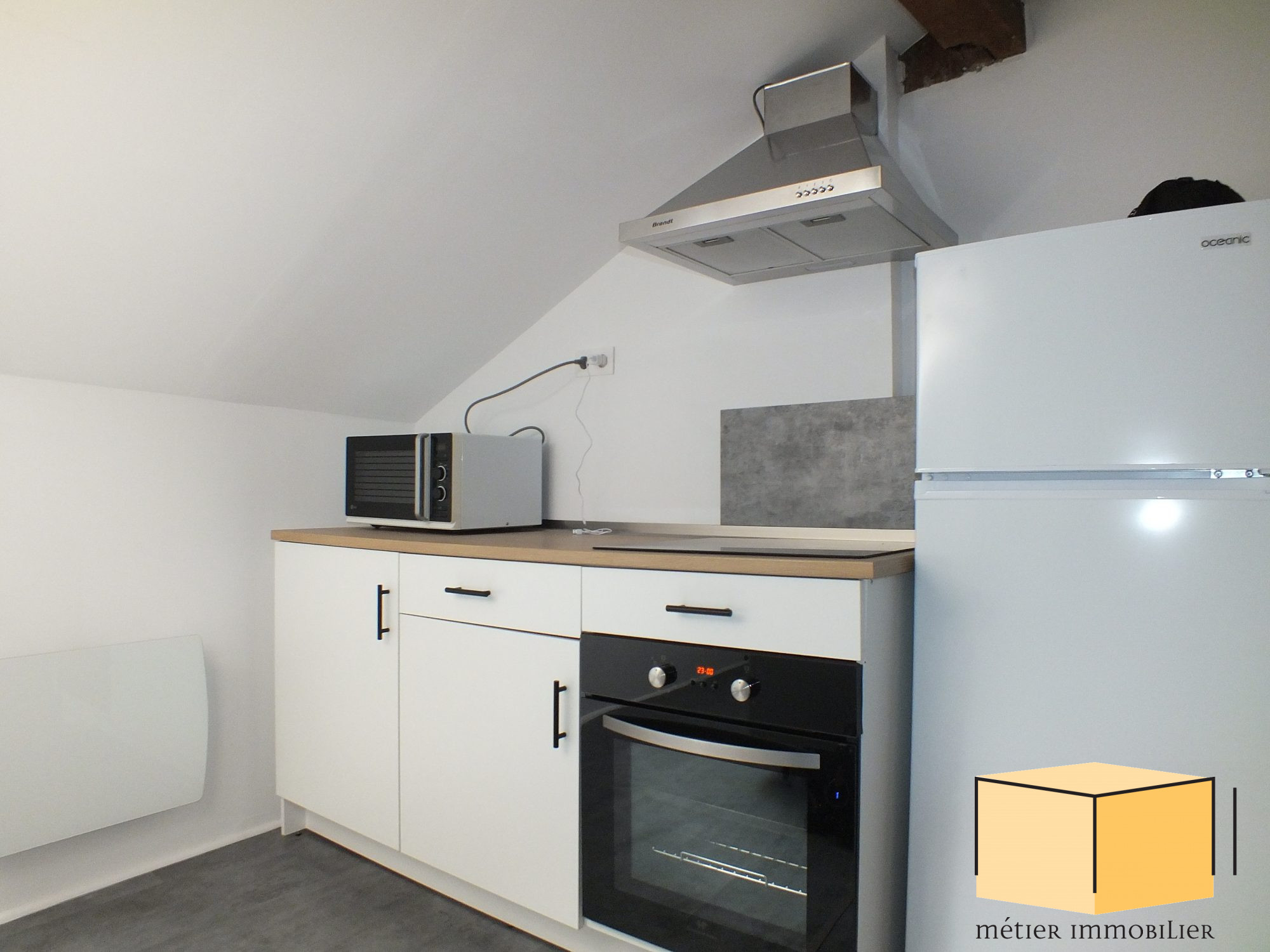 location appartement BELLEY