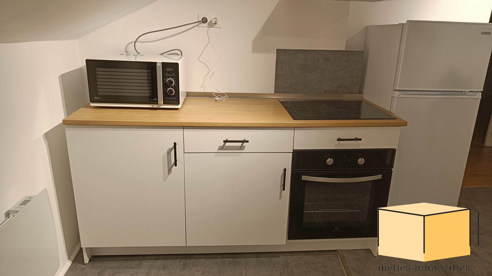 location appartement BELLEY