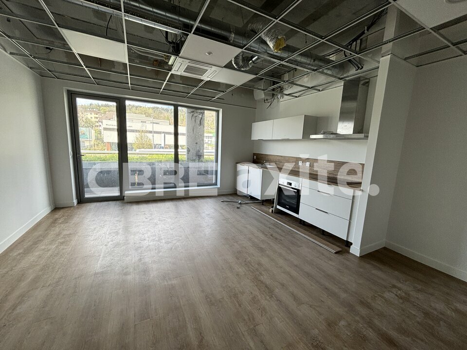 location local-professionnel ARGONAY