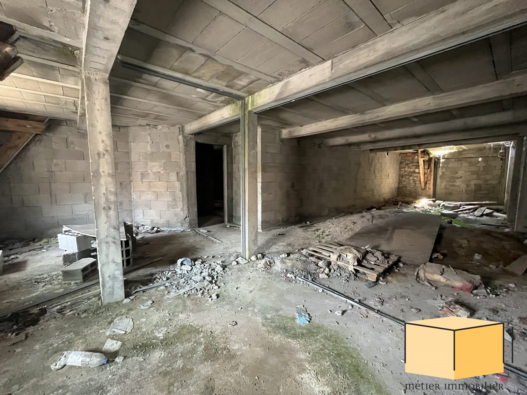vente immeuble BELLEY