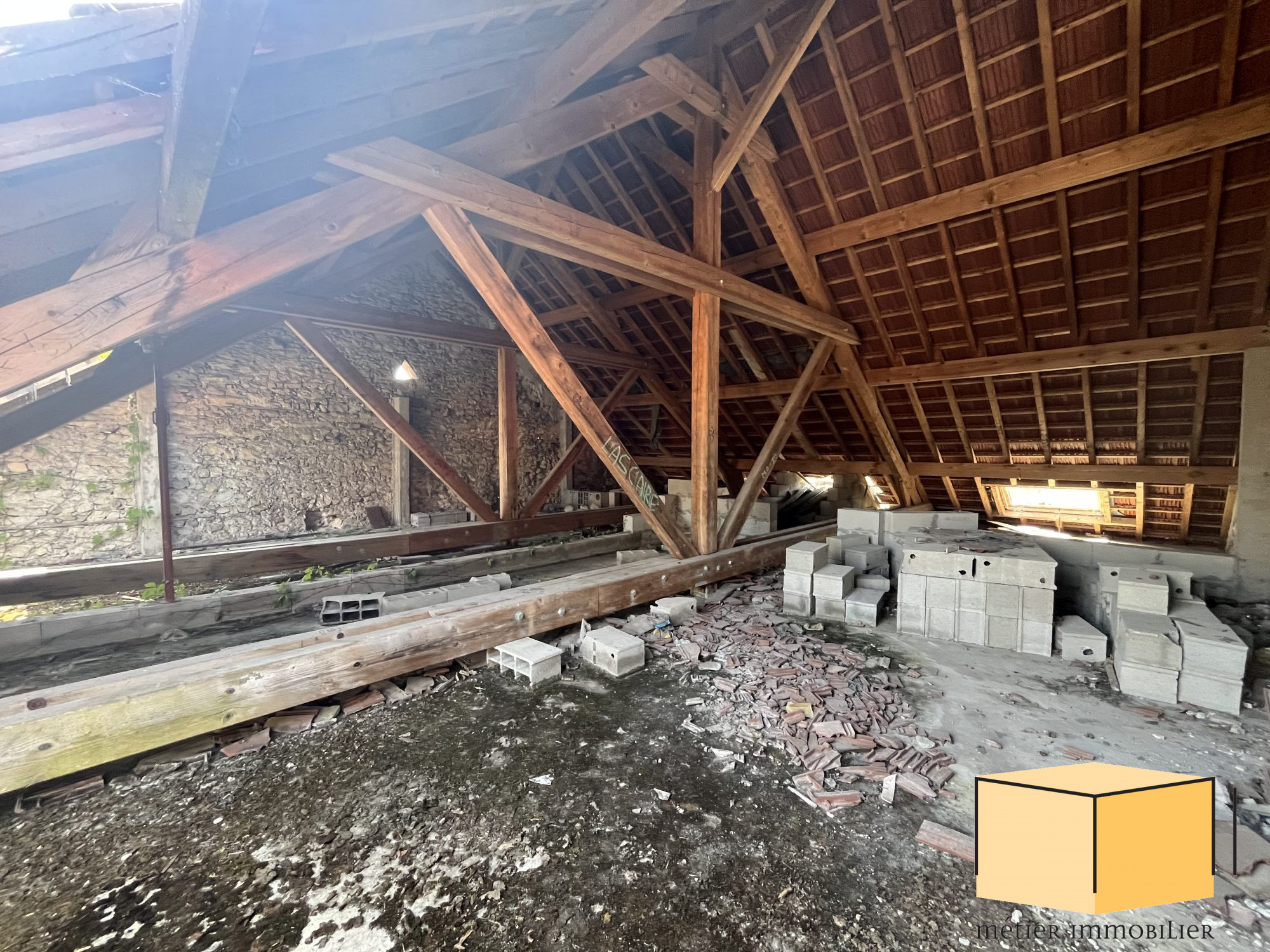 vente immeuble BELLEY