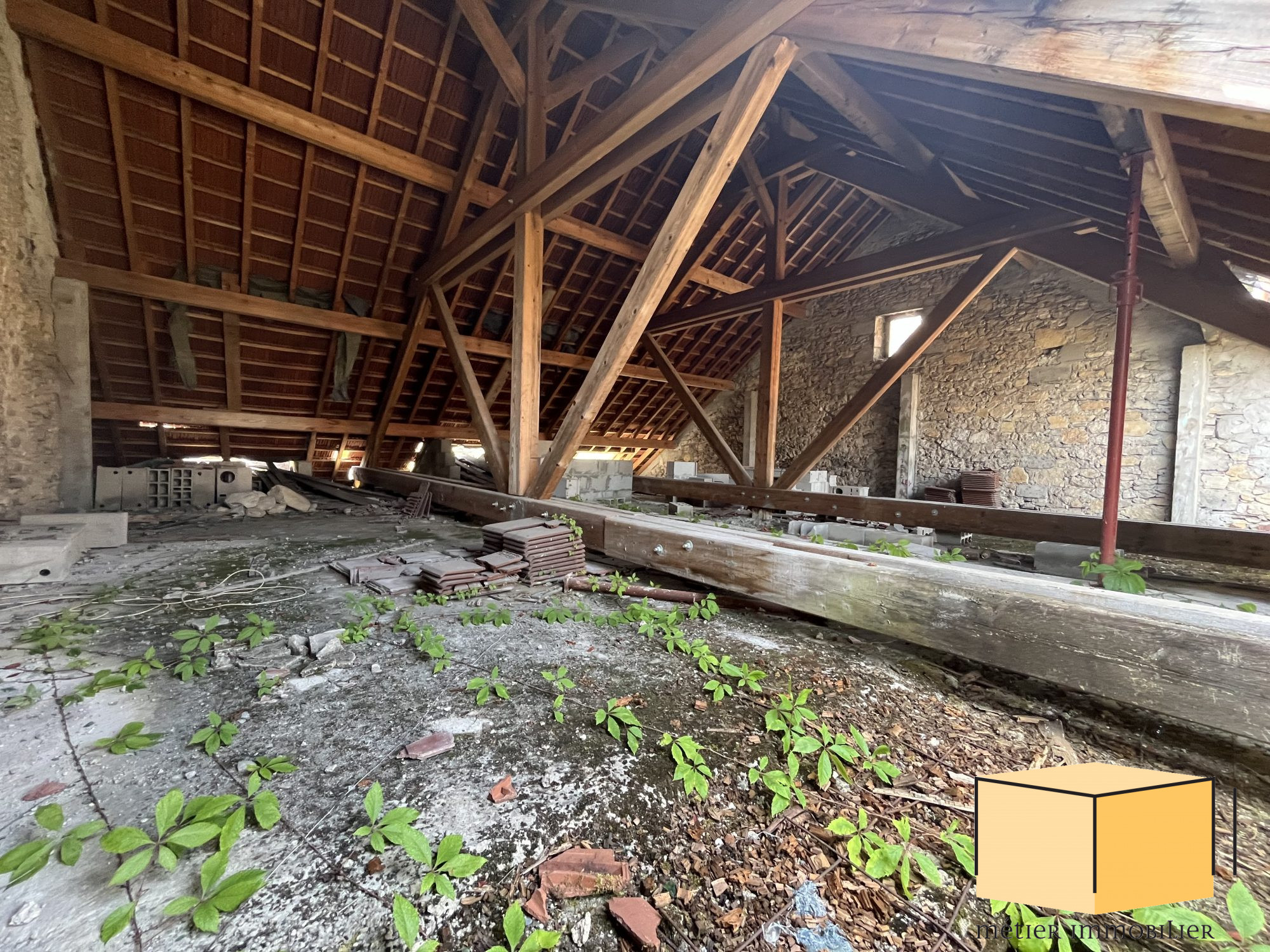 vente immeuble BELLEY
