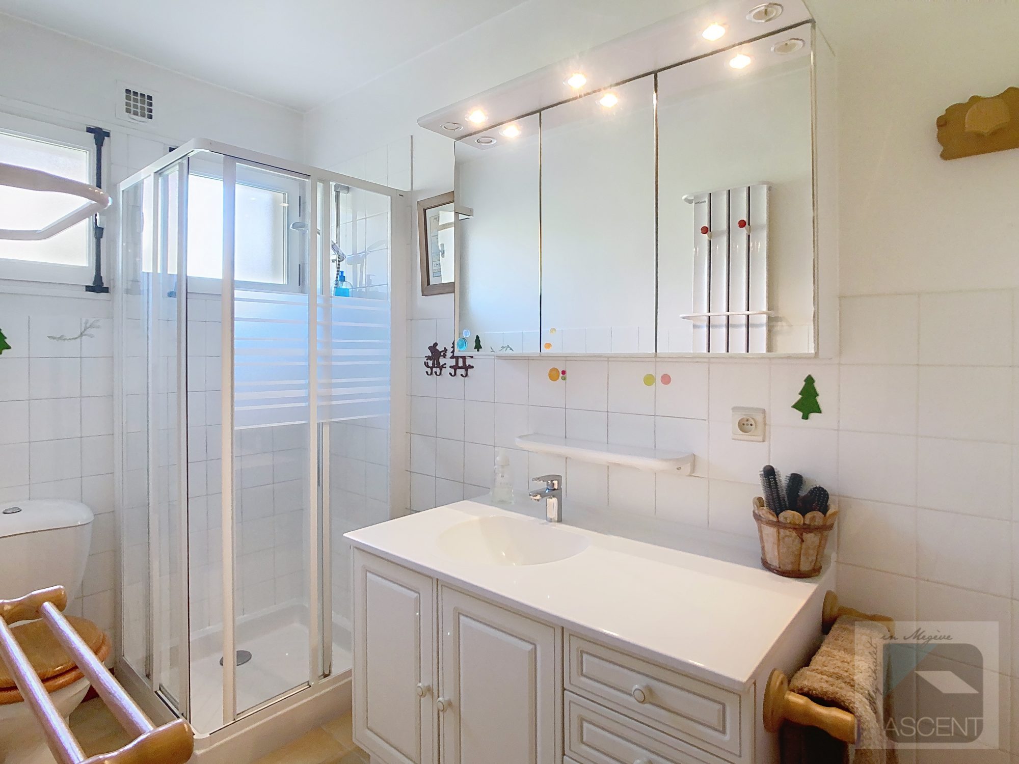vente appartement MEGEVE
