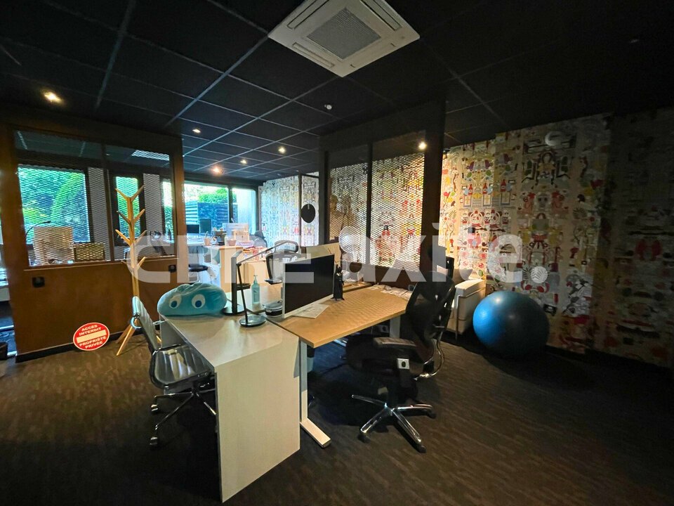 vente local-professionnel ANNECY