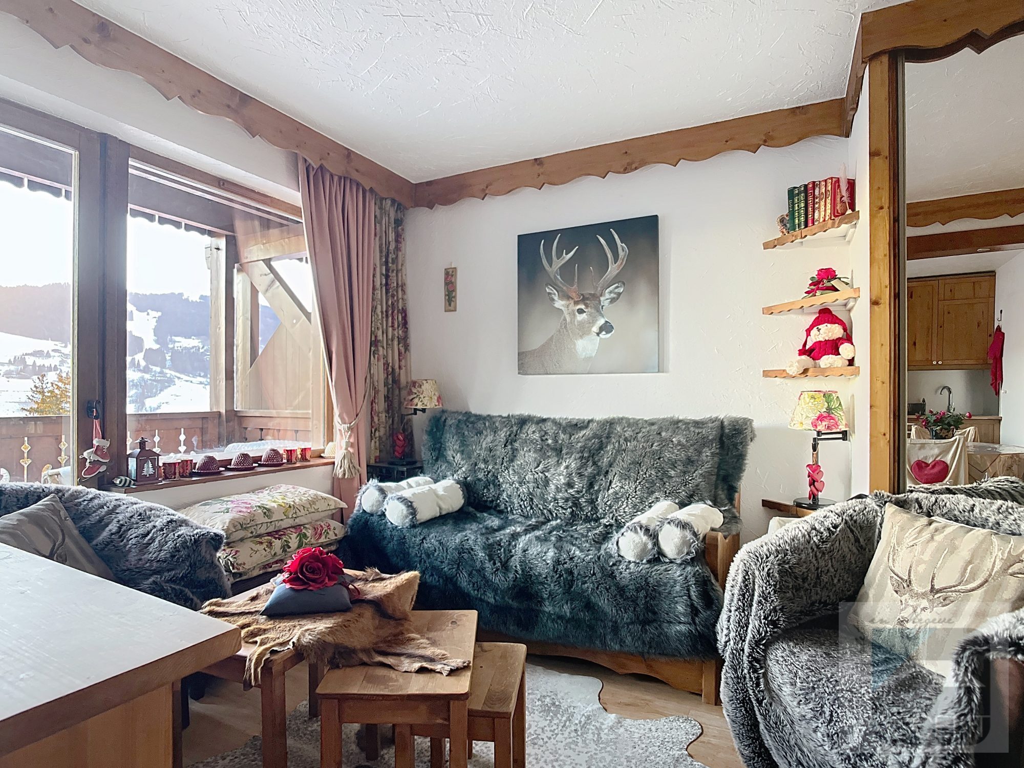 vente appartement MEGEVE