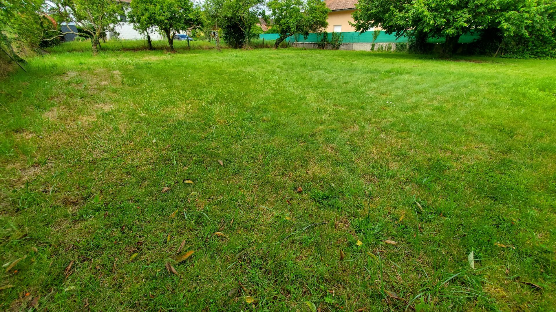 vente terrain SCIEZ