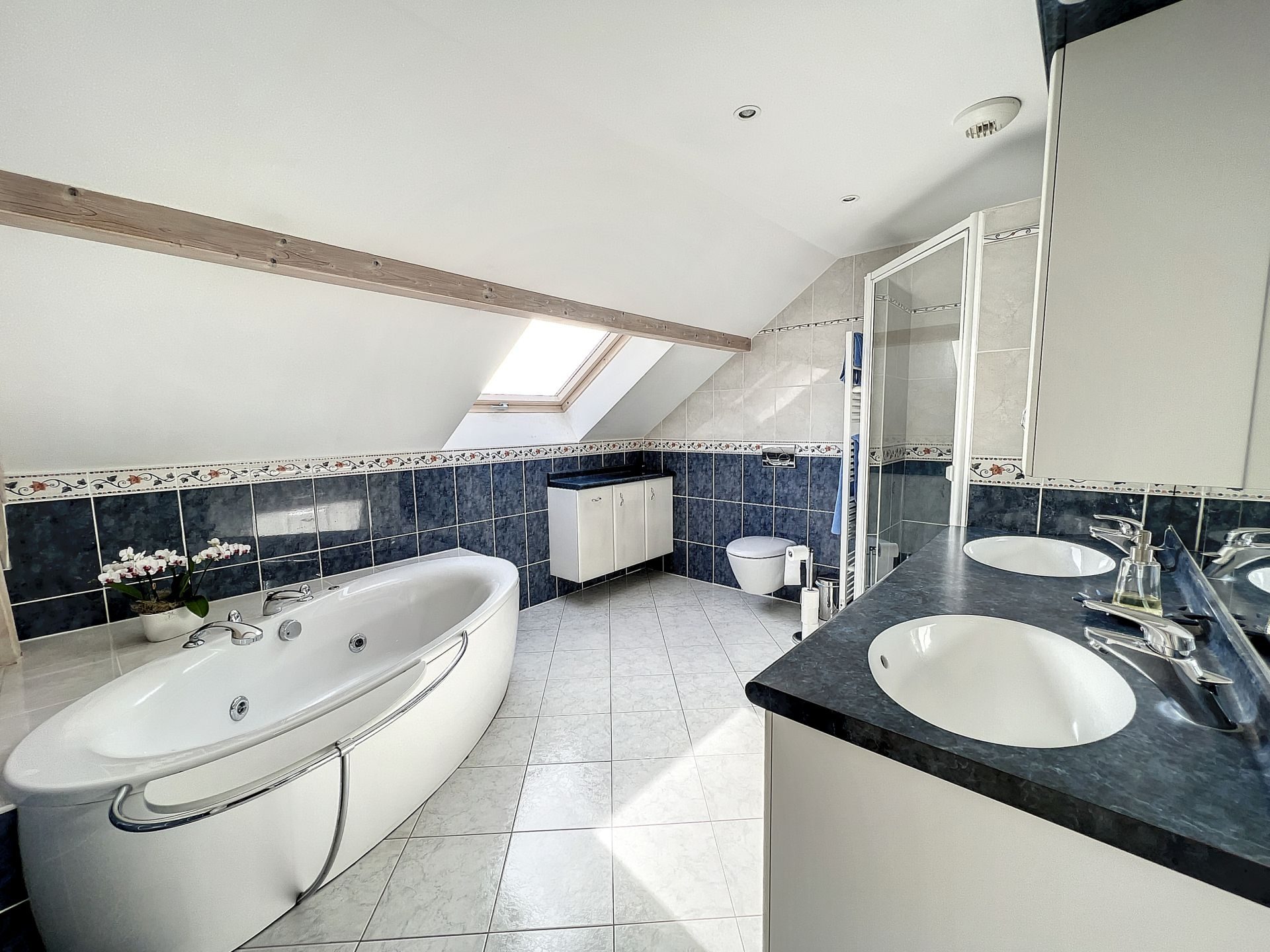 vente maison CHALLEX