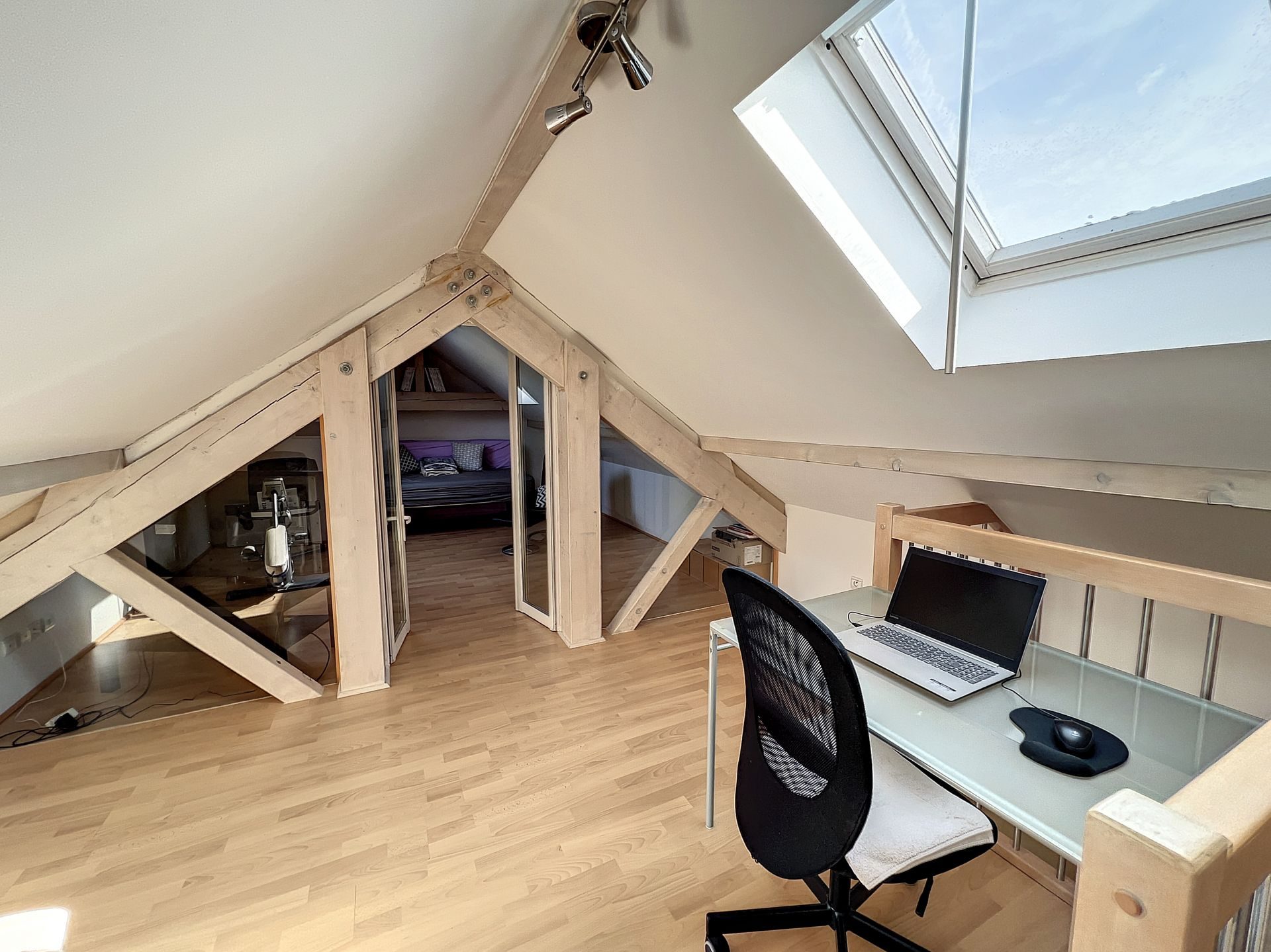vente maison CHALLEX