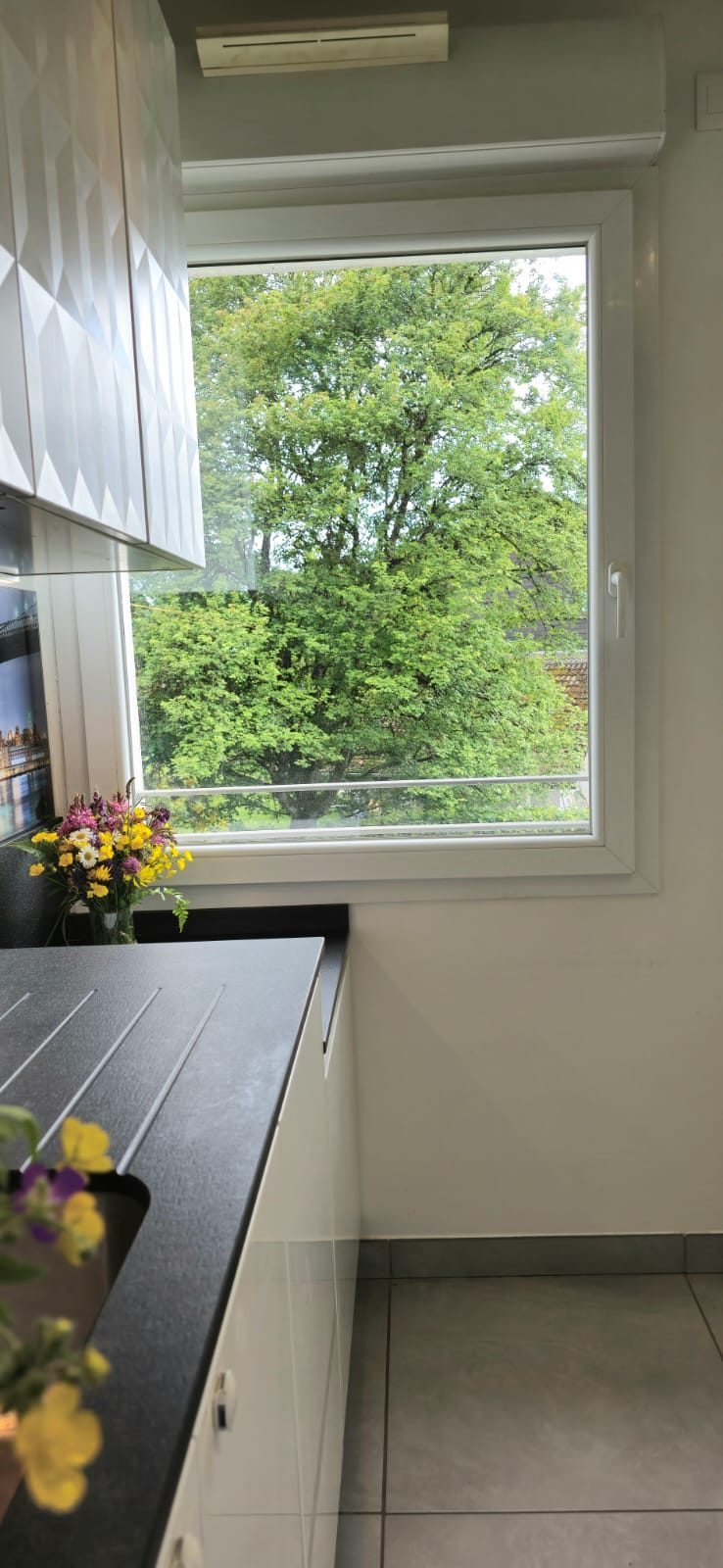 vente appartement ANNECY LE VIEUX