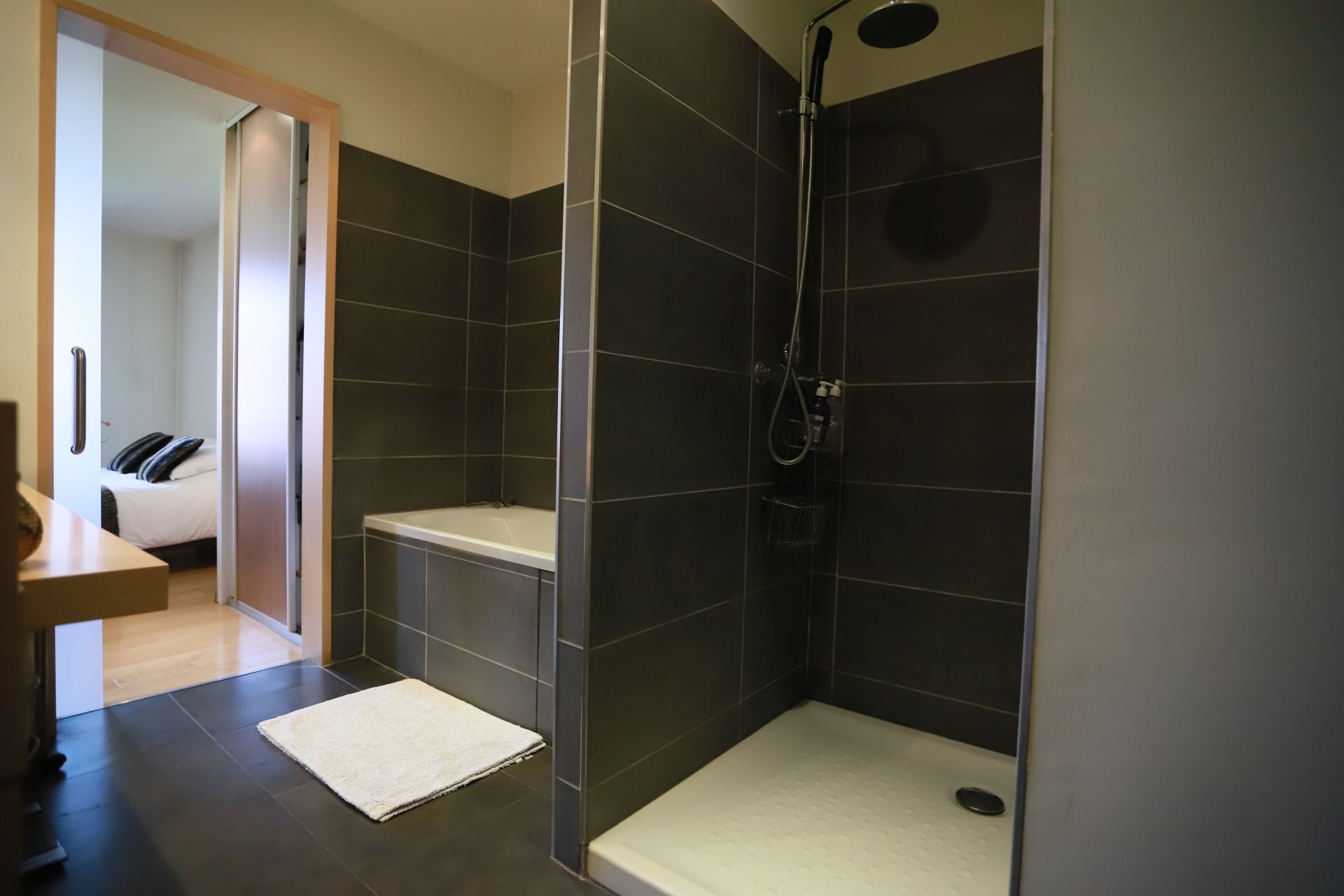 vente appartement ANNECY