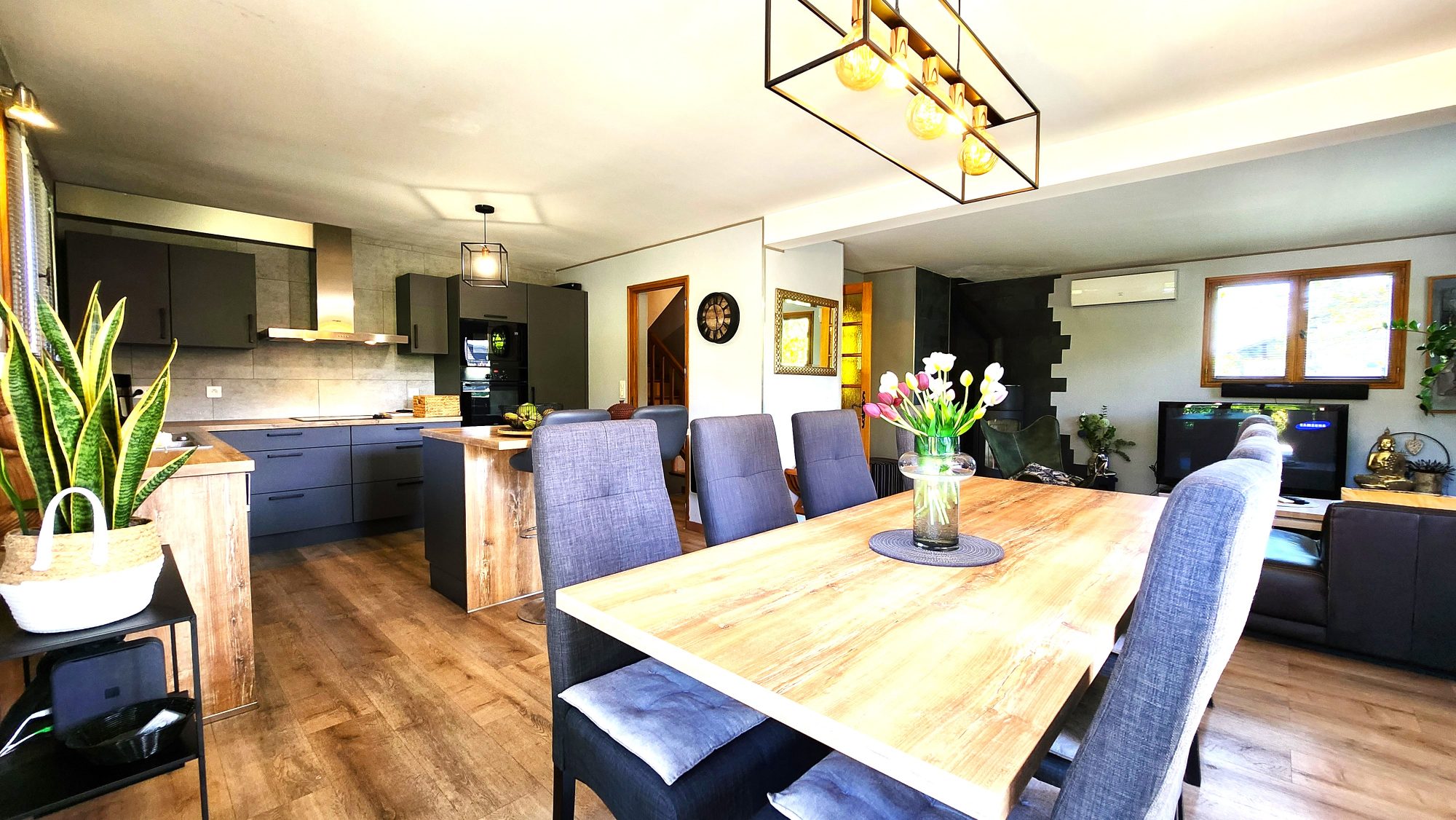 vente maison SCIEZ