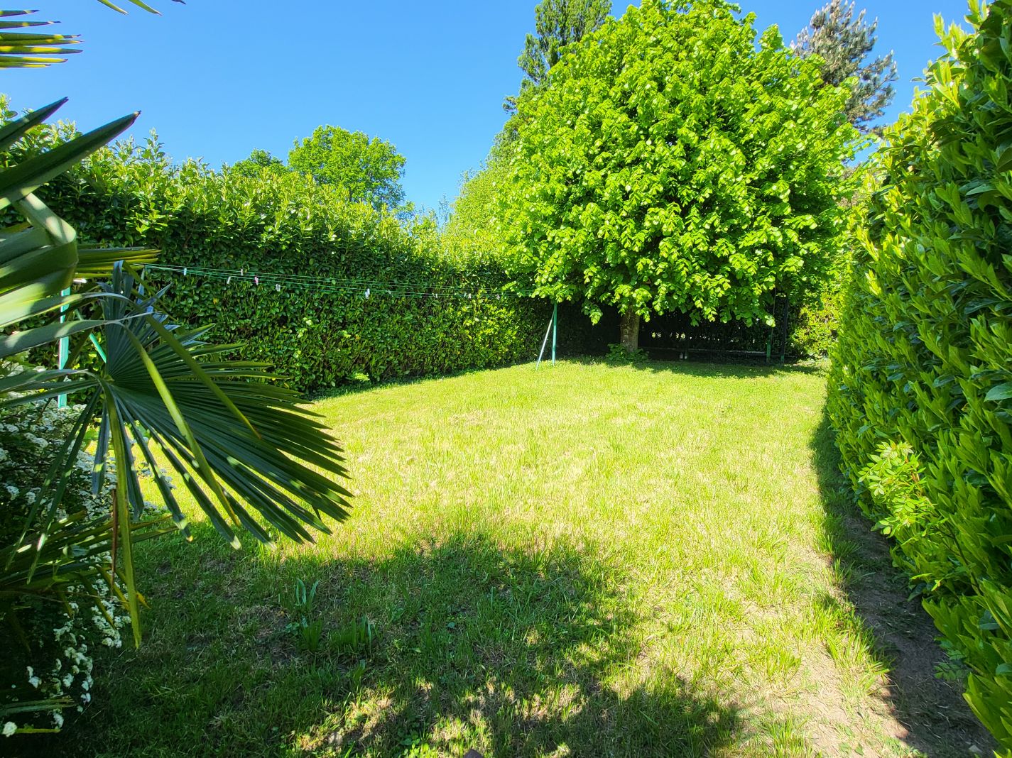 vente maison CHATILLON LA PALUD