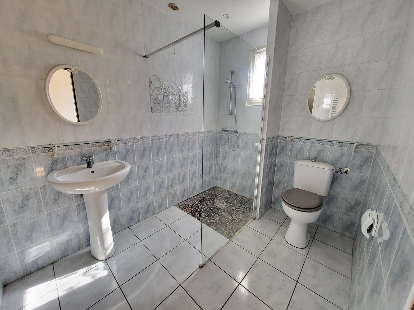 vente maison CHATILLON LA PALUD