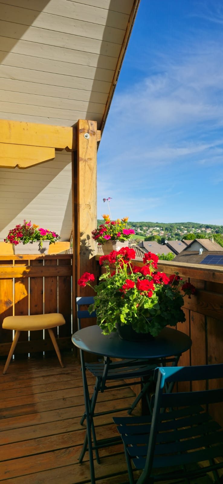 vente appartement POISY