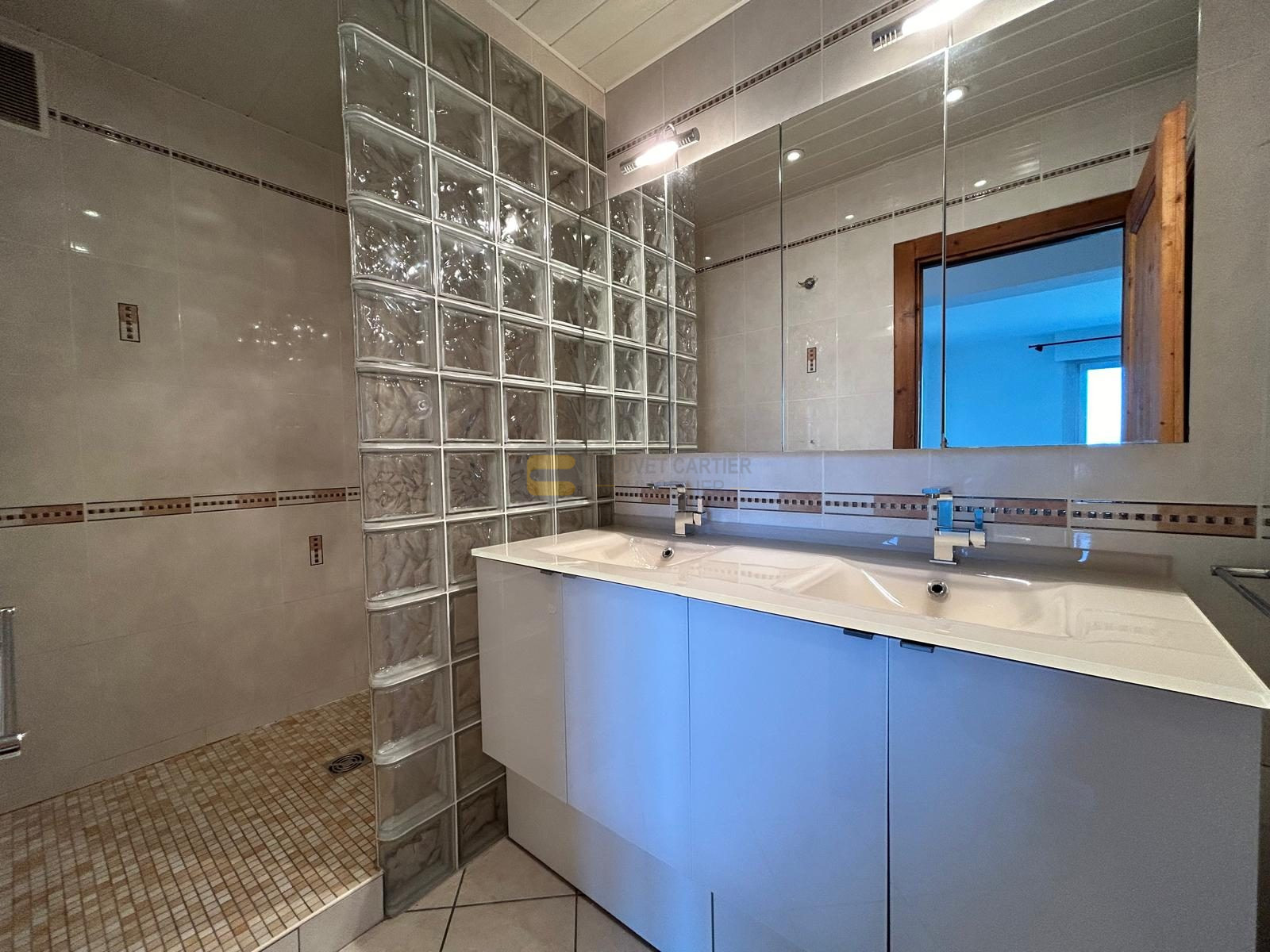 vente appartement GAILLARD