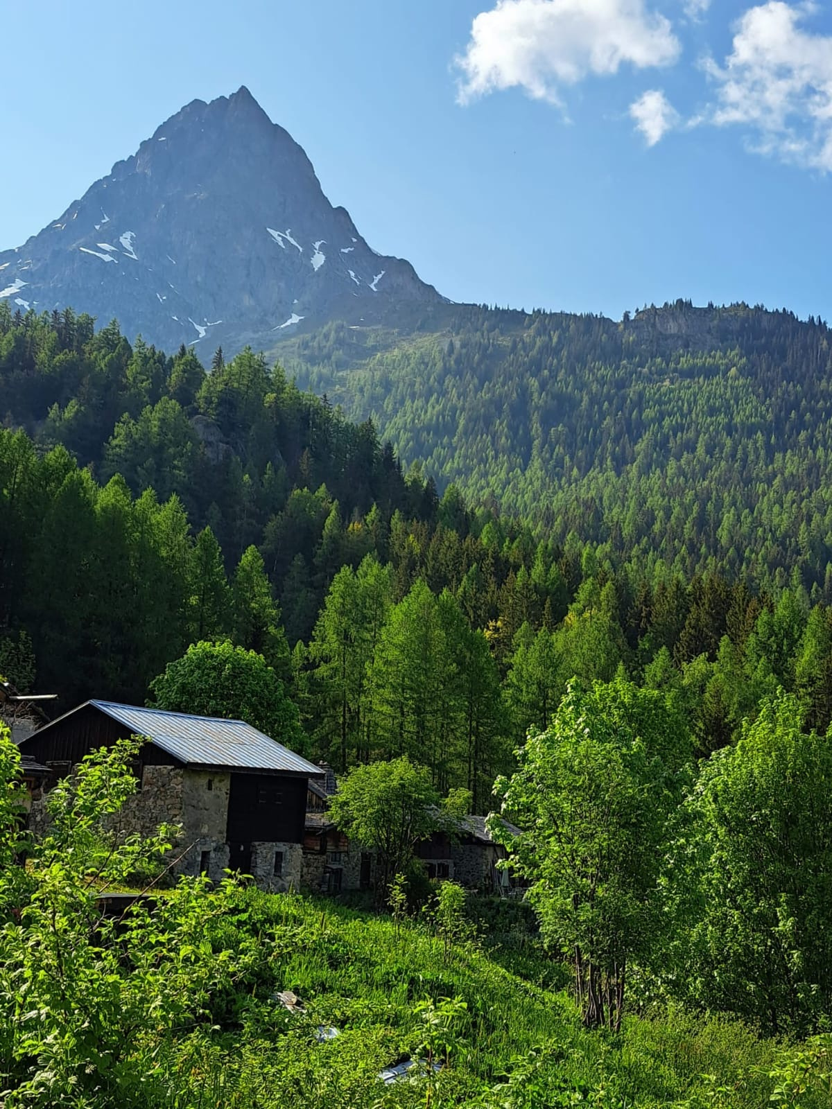 vente maison VALLORCINE