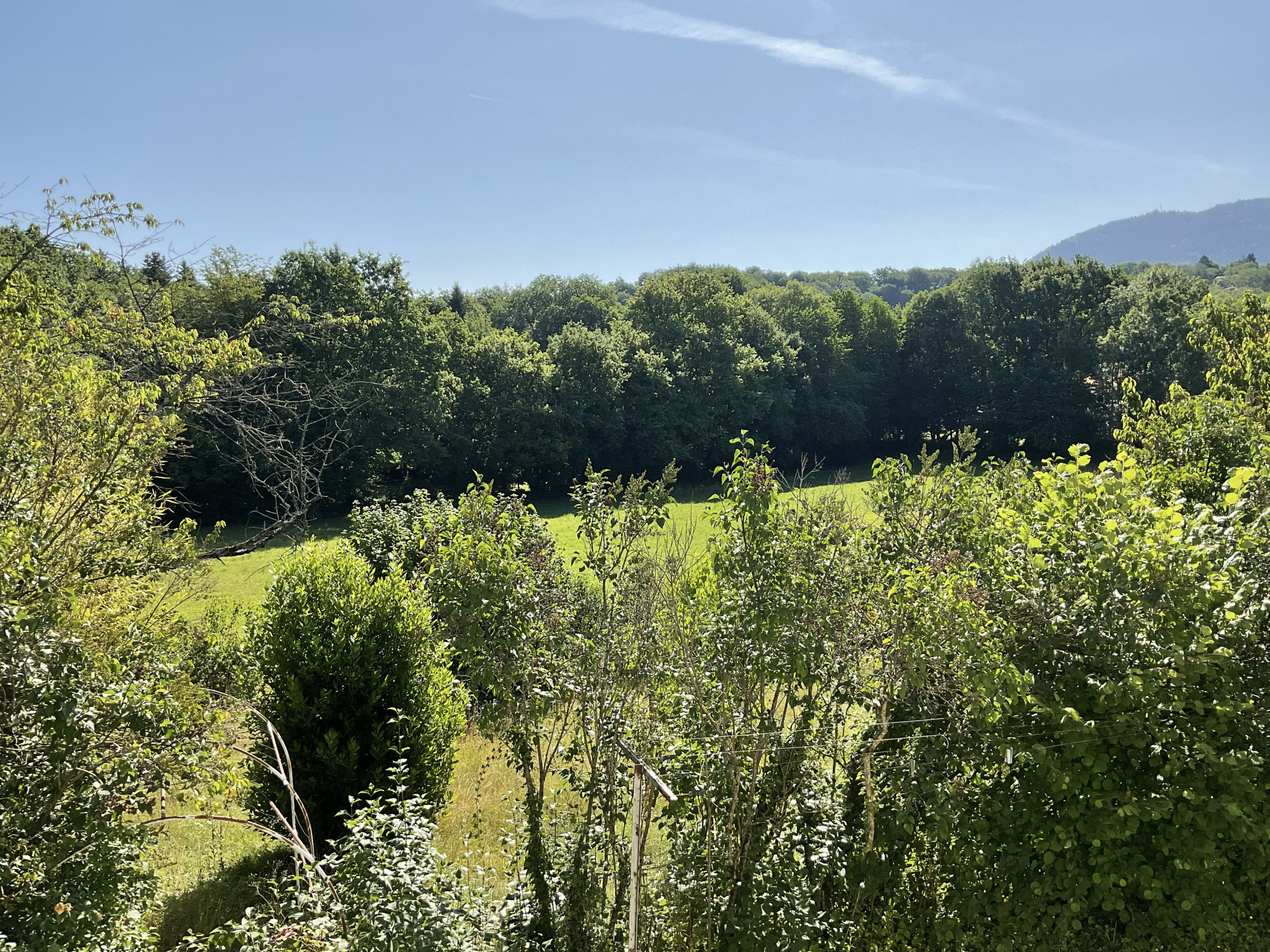 vente maison ALLINGES