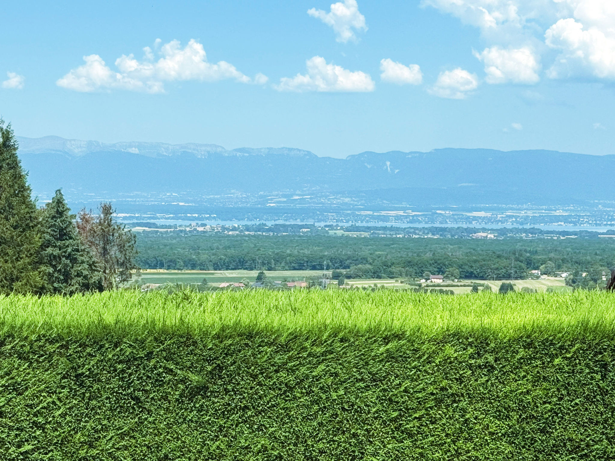vente maison ST CERGUES