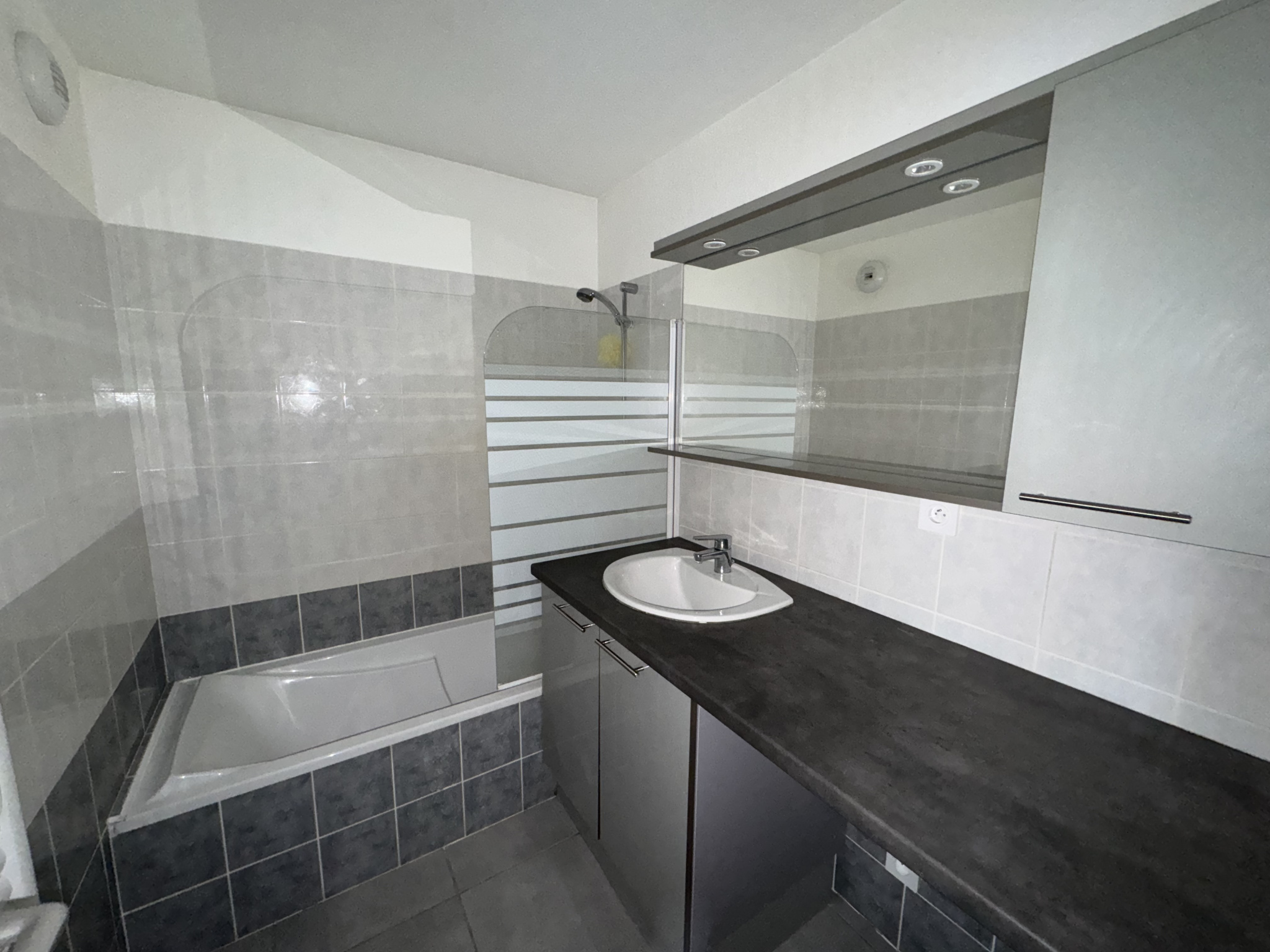 vente appartement SCIONZIER