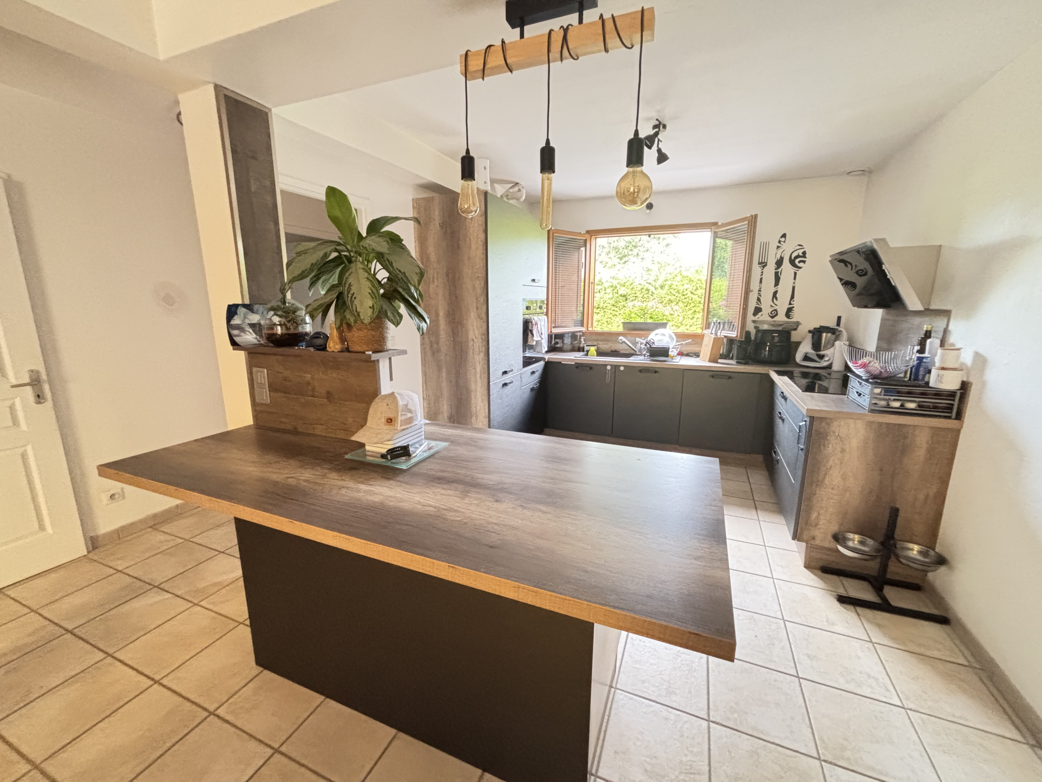 vente maison MARNAZ