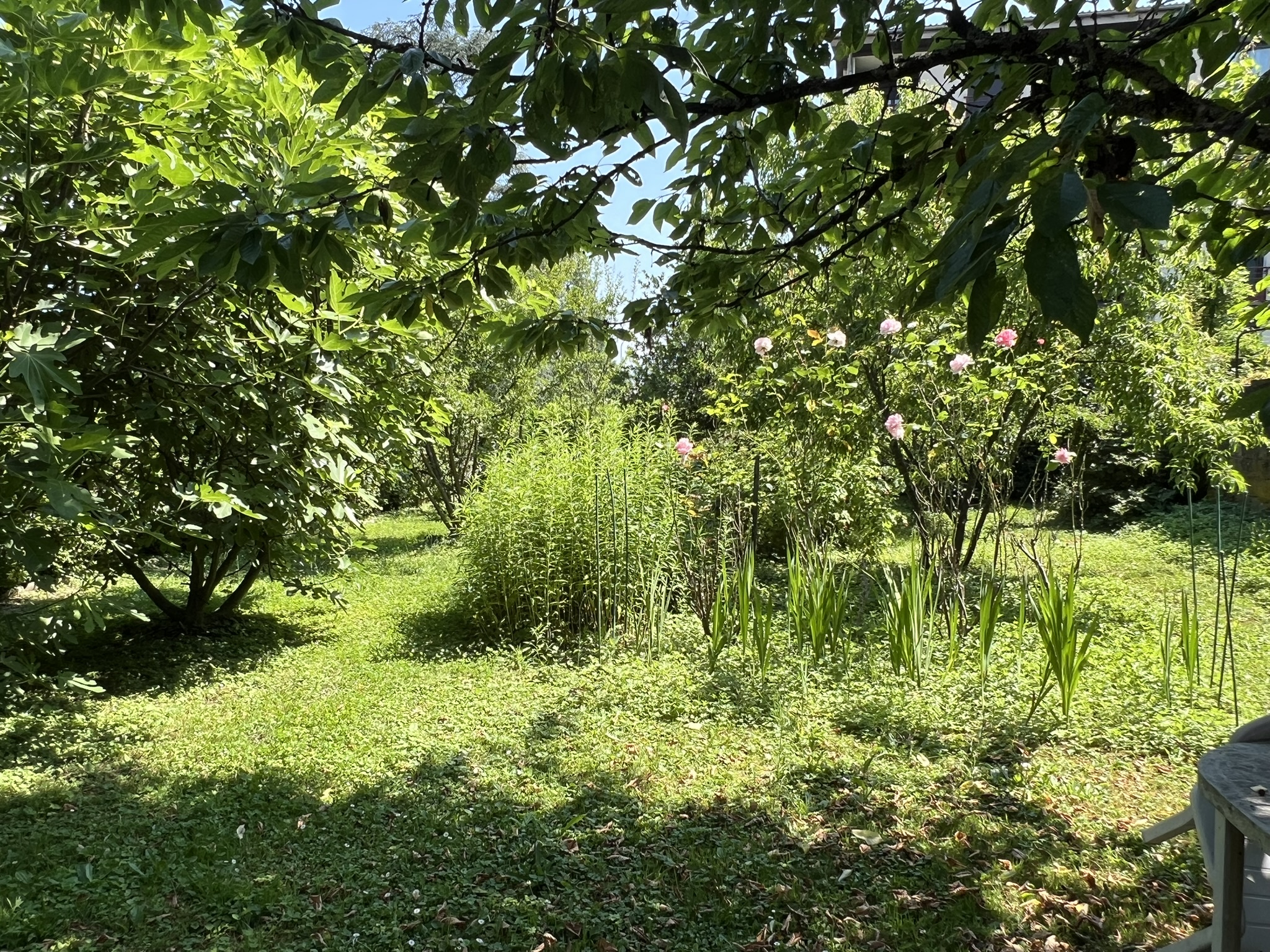 vente maison CHAMOUX SUR GELON