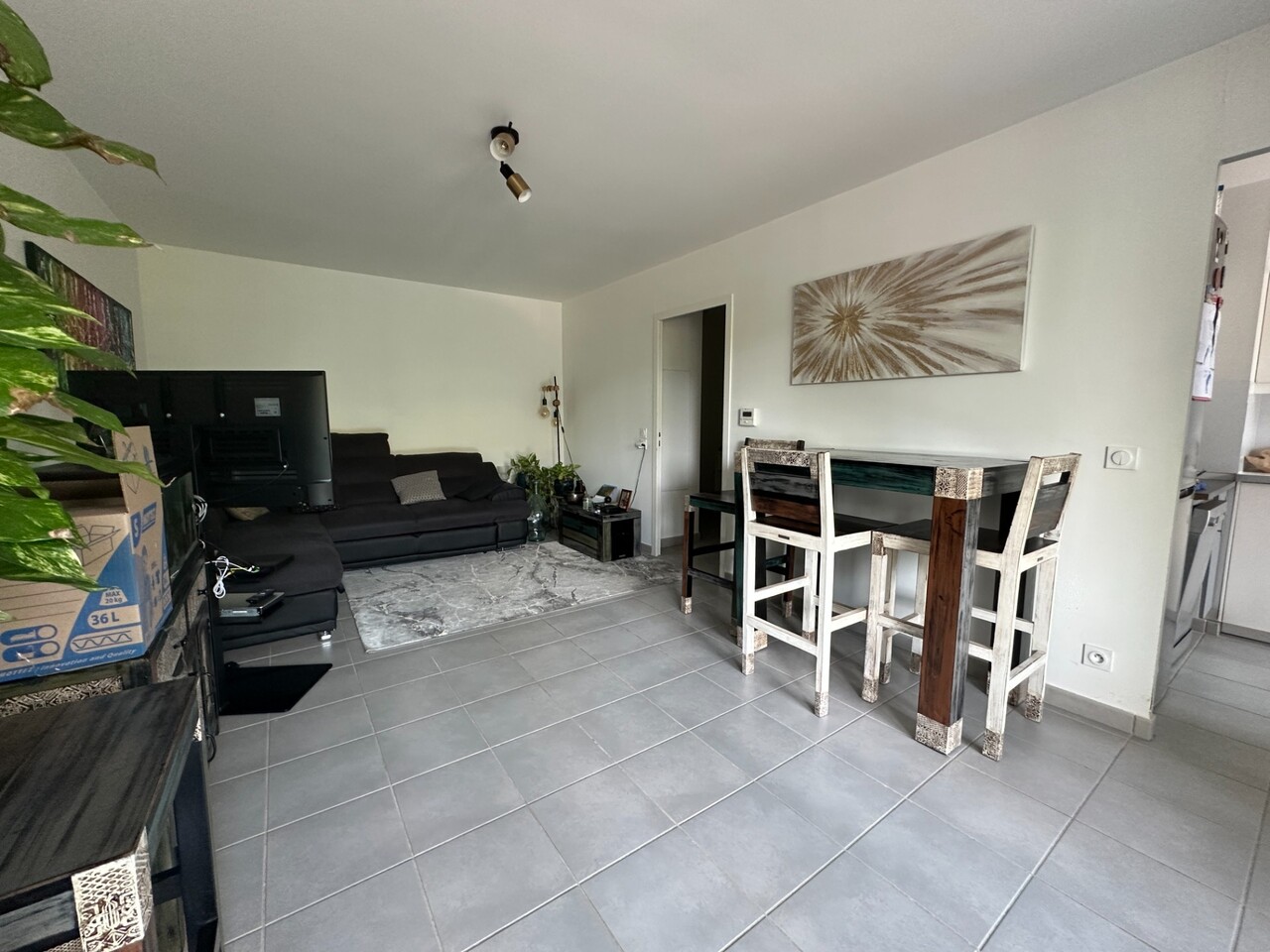 vente appartement REIGNIER ESERY