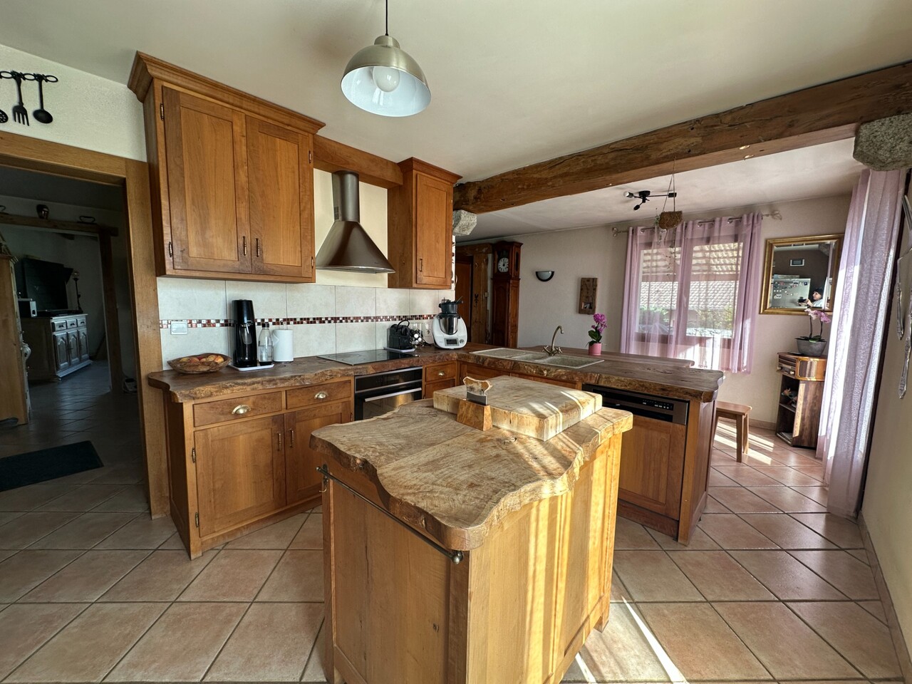 vente maison SCIENTRIER