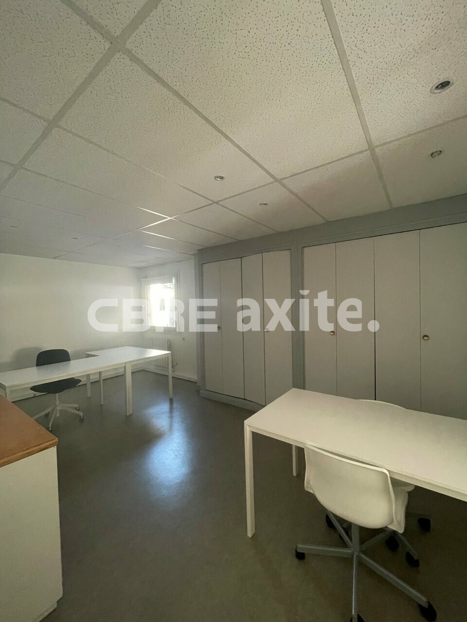 location local-professionnel ANNECY LE VIEUX
