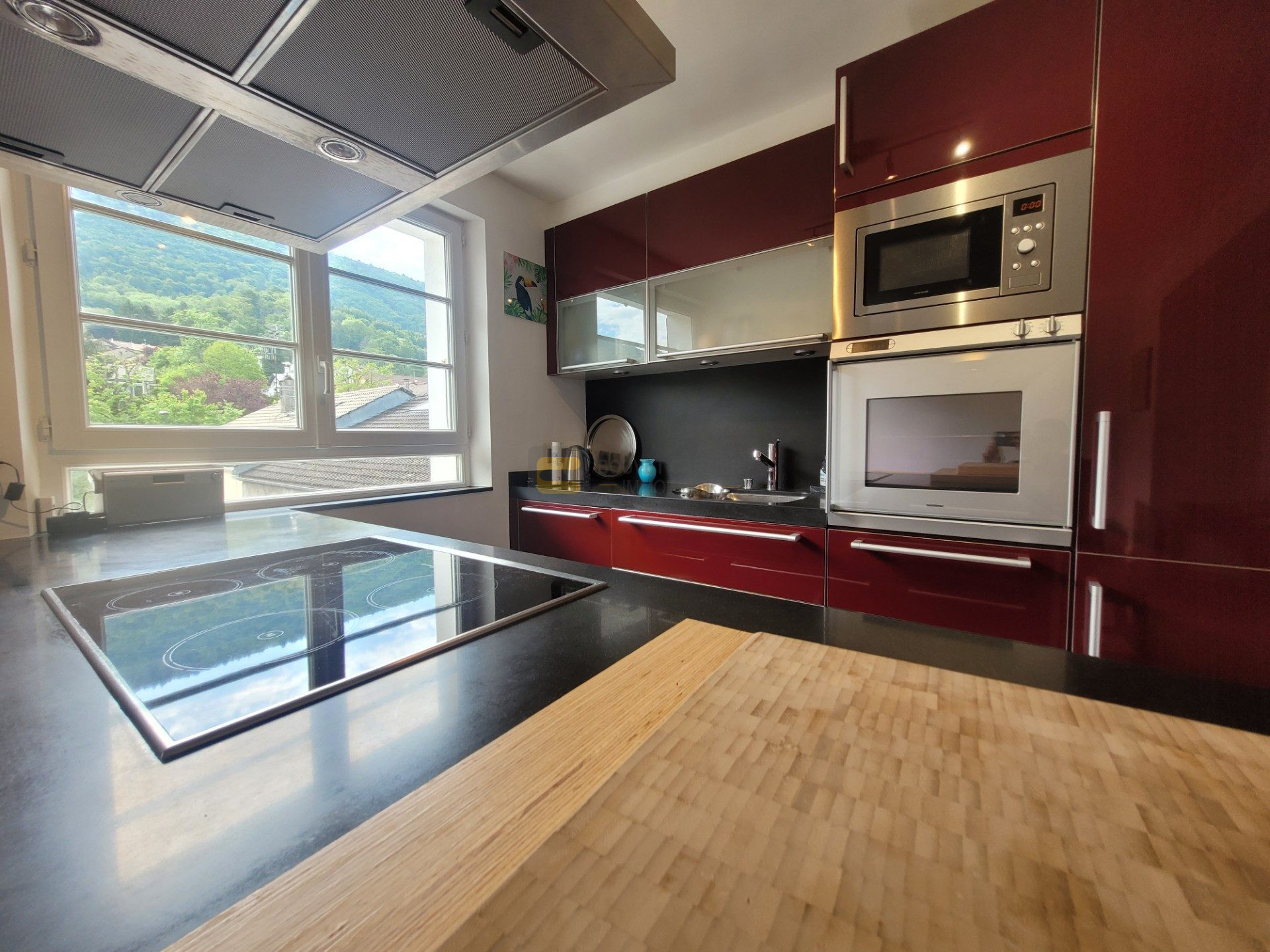 vente appartement ST CERGUES