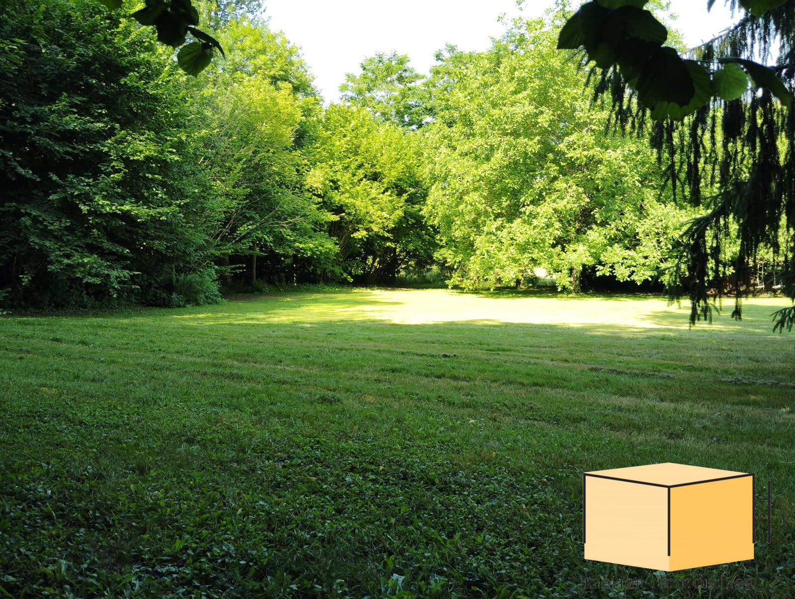 vente terrain BELLEY