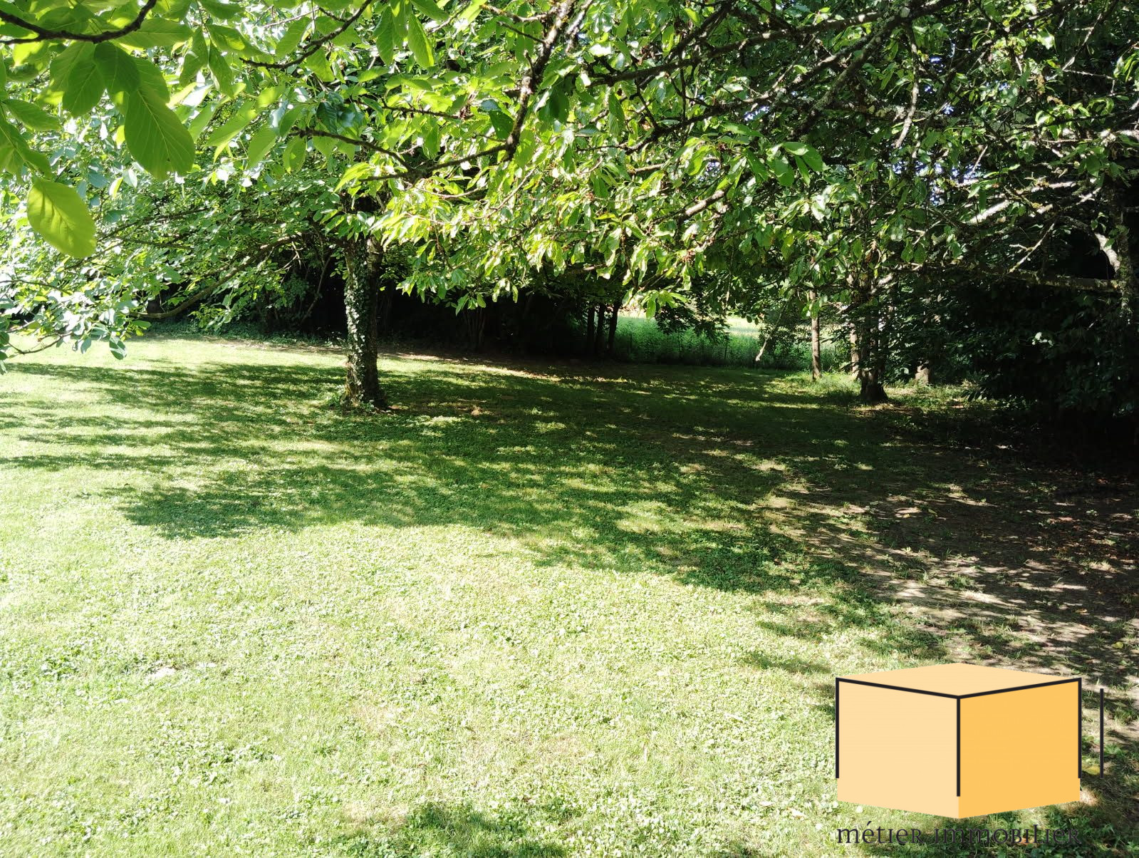 vente terrain BELLEY