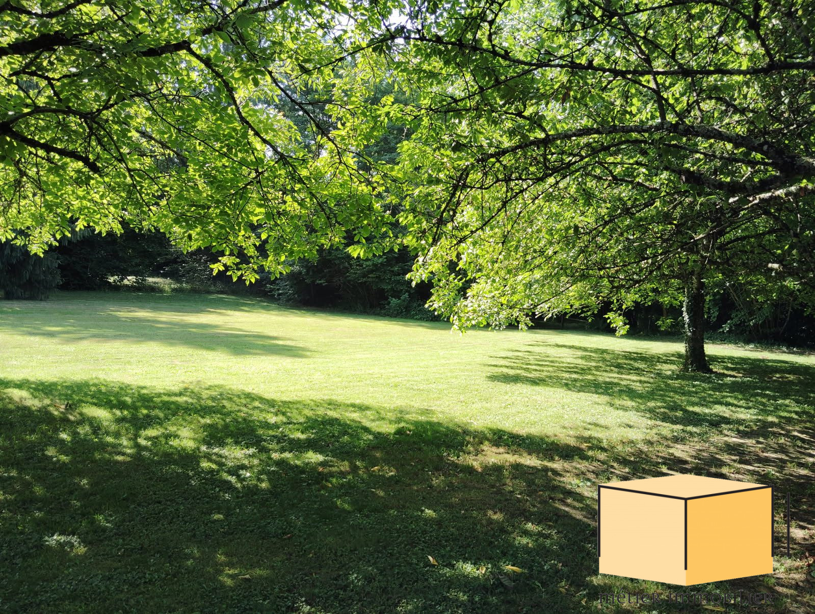 vente terrain BELLEY