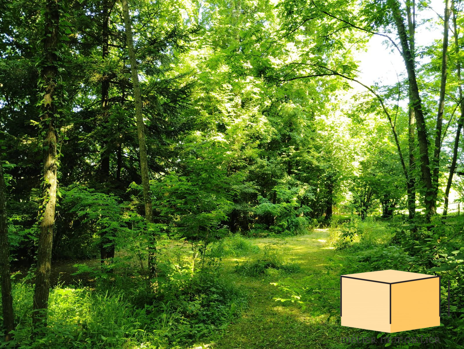 vente terrain BELLEY