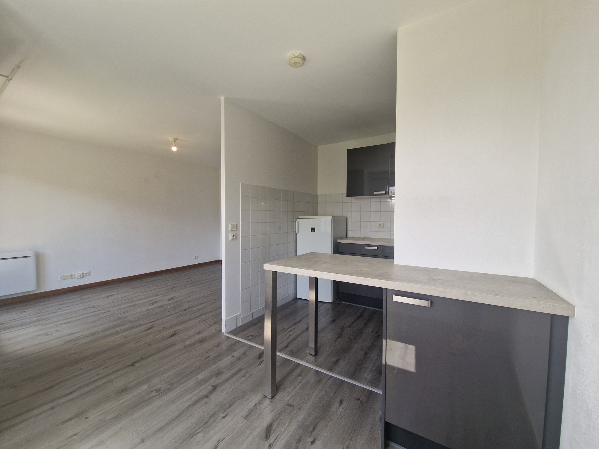 vente appartement GAILLARD