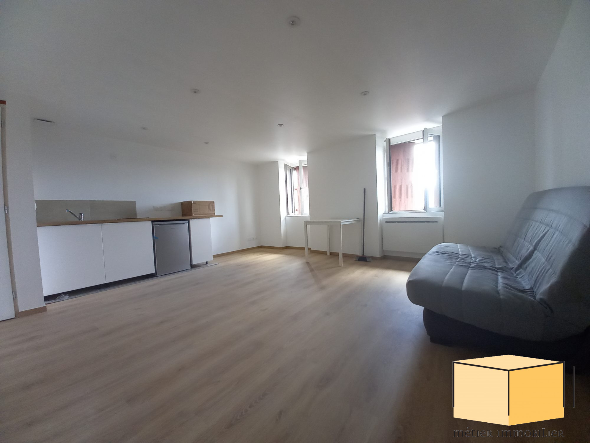 location appartement BELLEY
