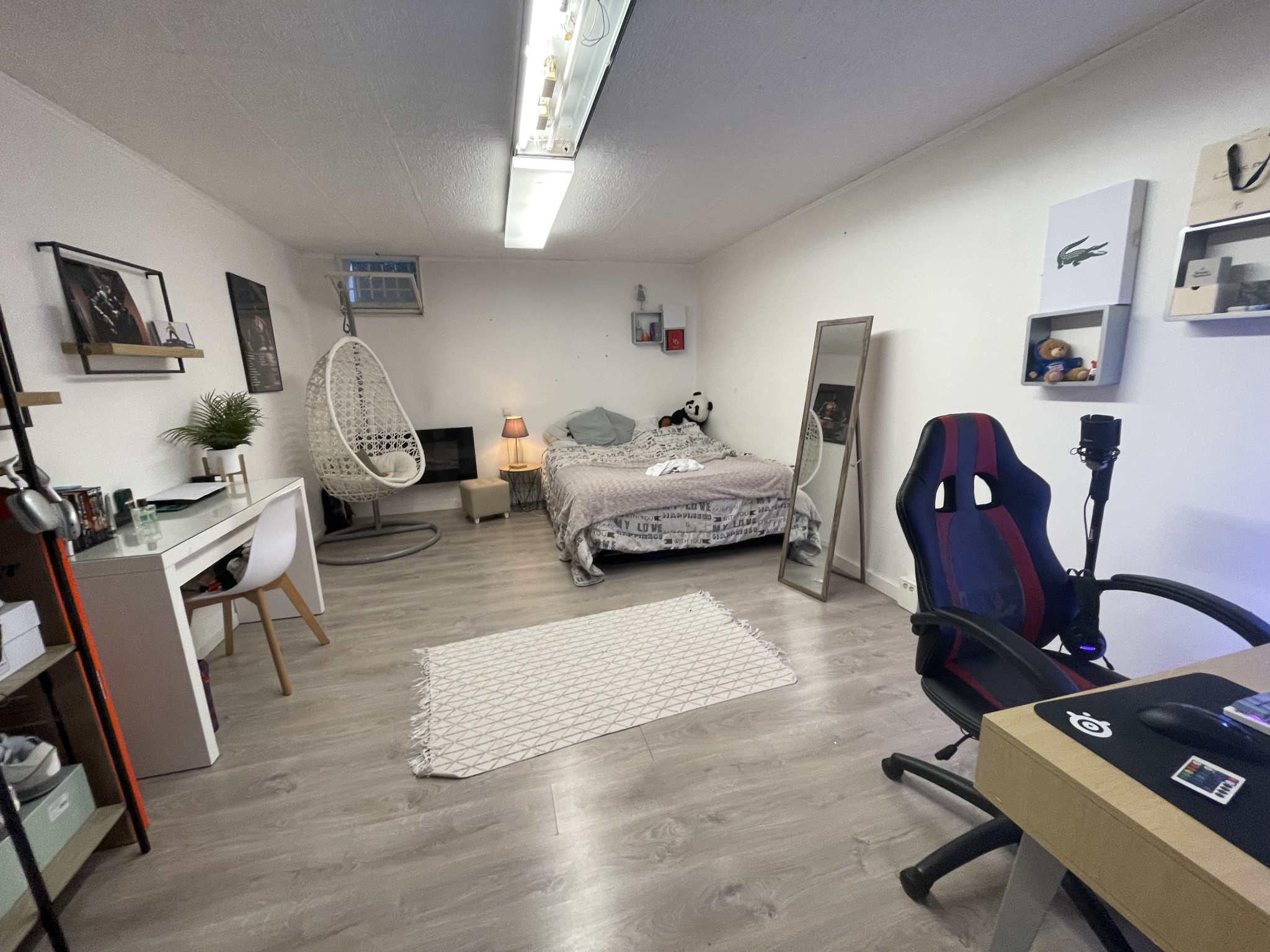 vente local-professionnel ANNECY LE VIEUX