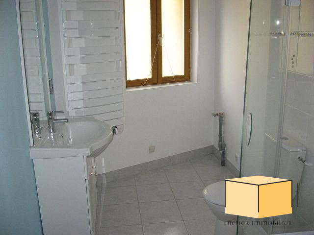 location appartement SEYSSEL