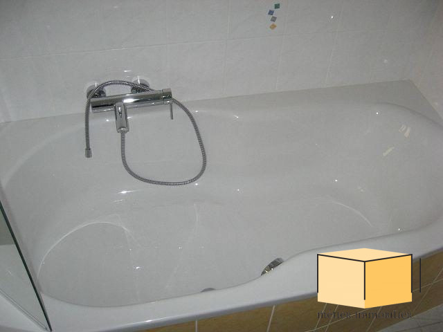 location appartement SEYSSEL