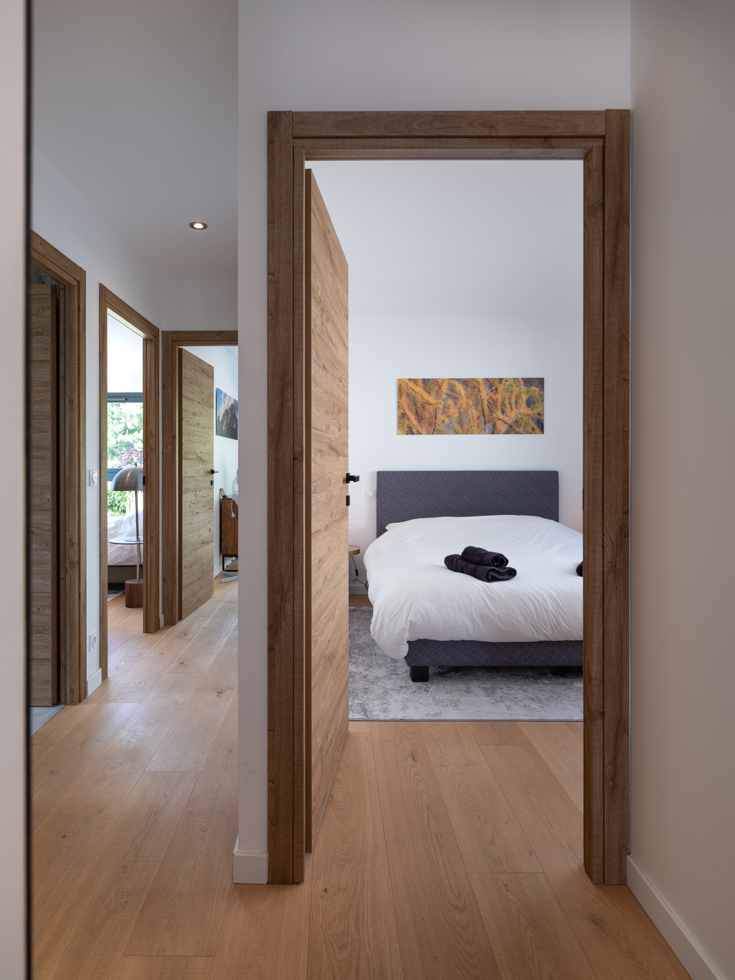 vente maison ST JORIOZ