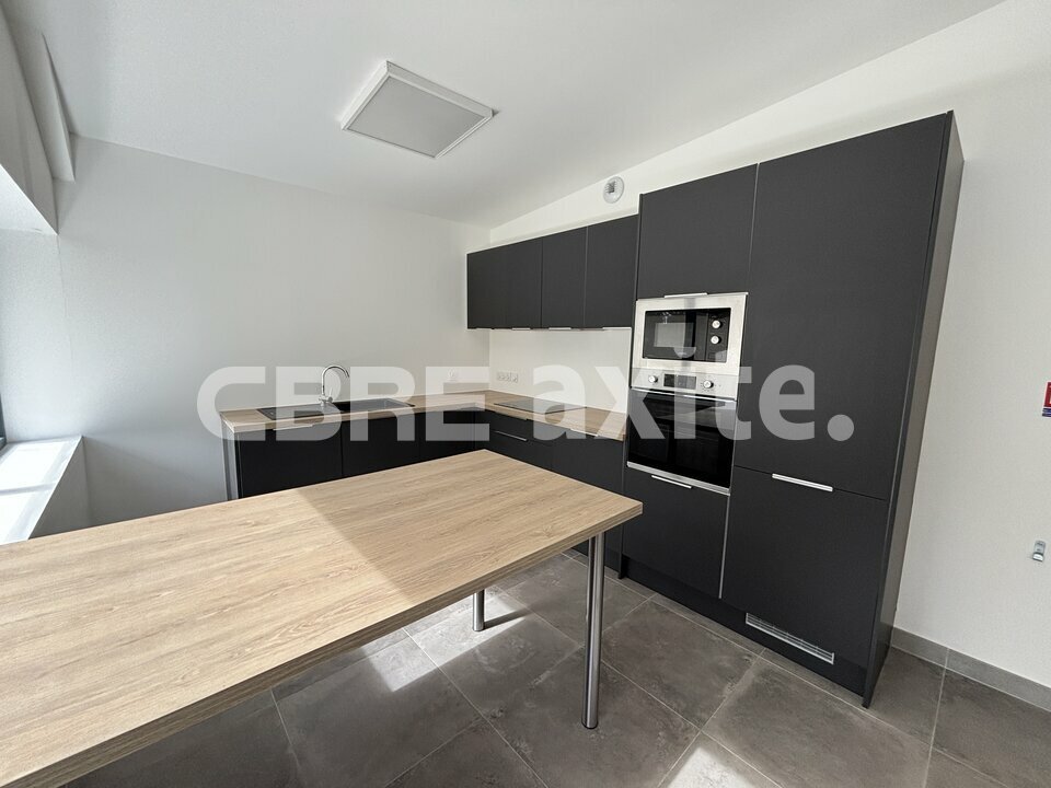 location local-professionnel SEYNOD