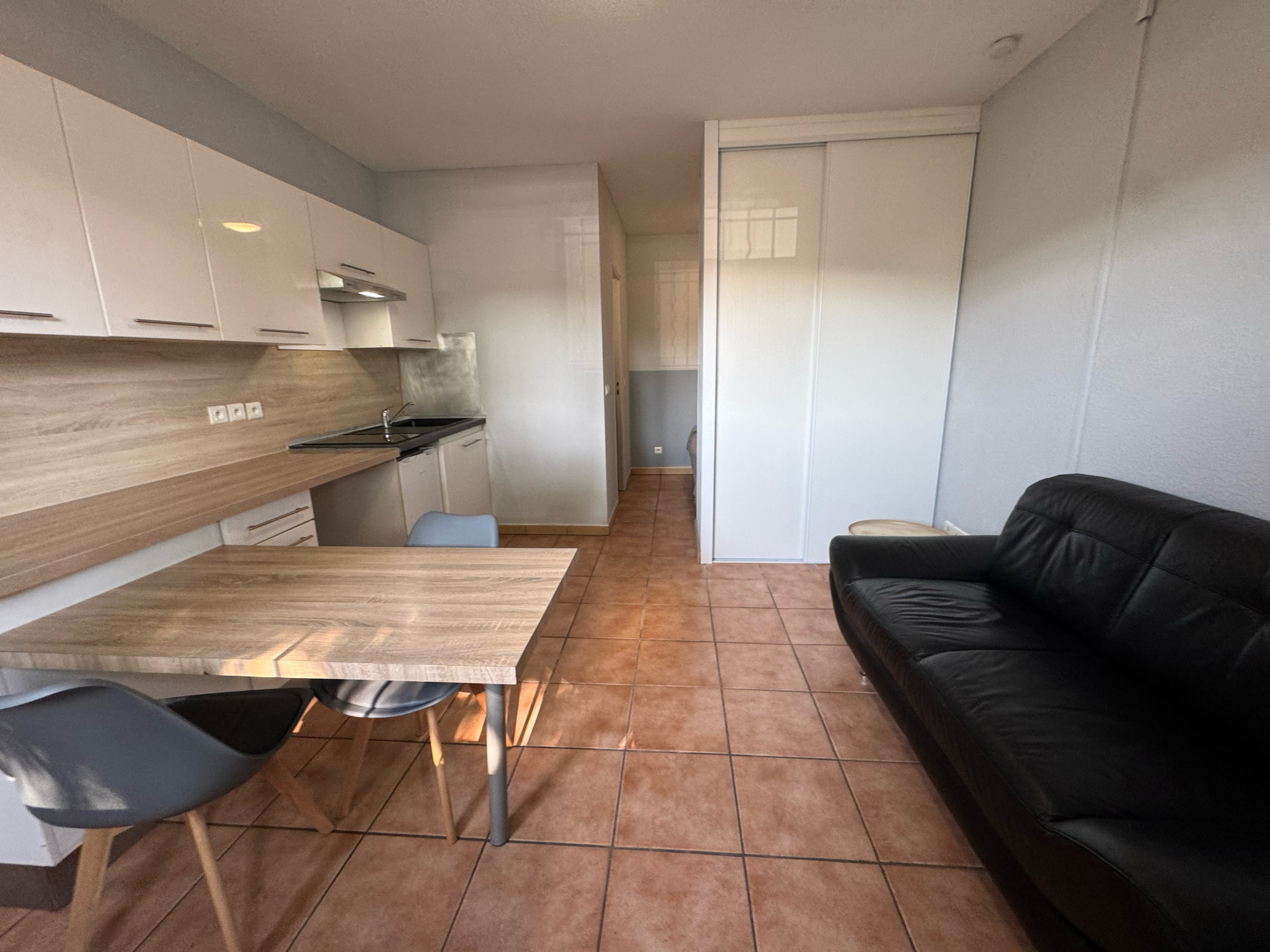 location appartement GAILLARD