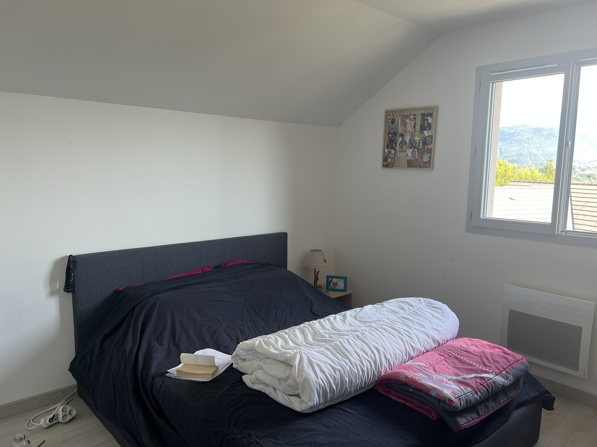 vente maison ST PIERRE D ALBIGNY