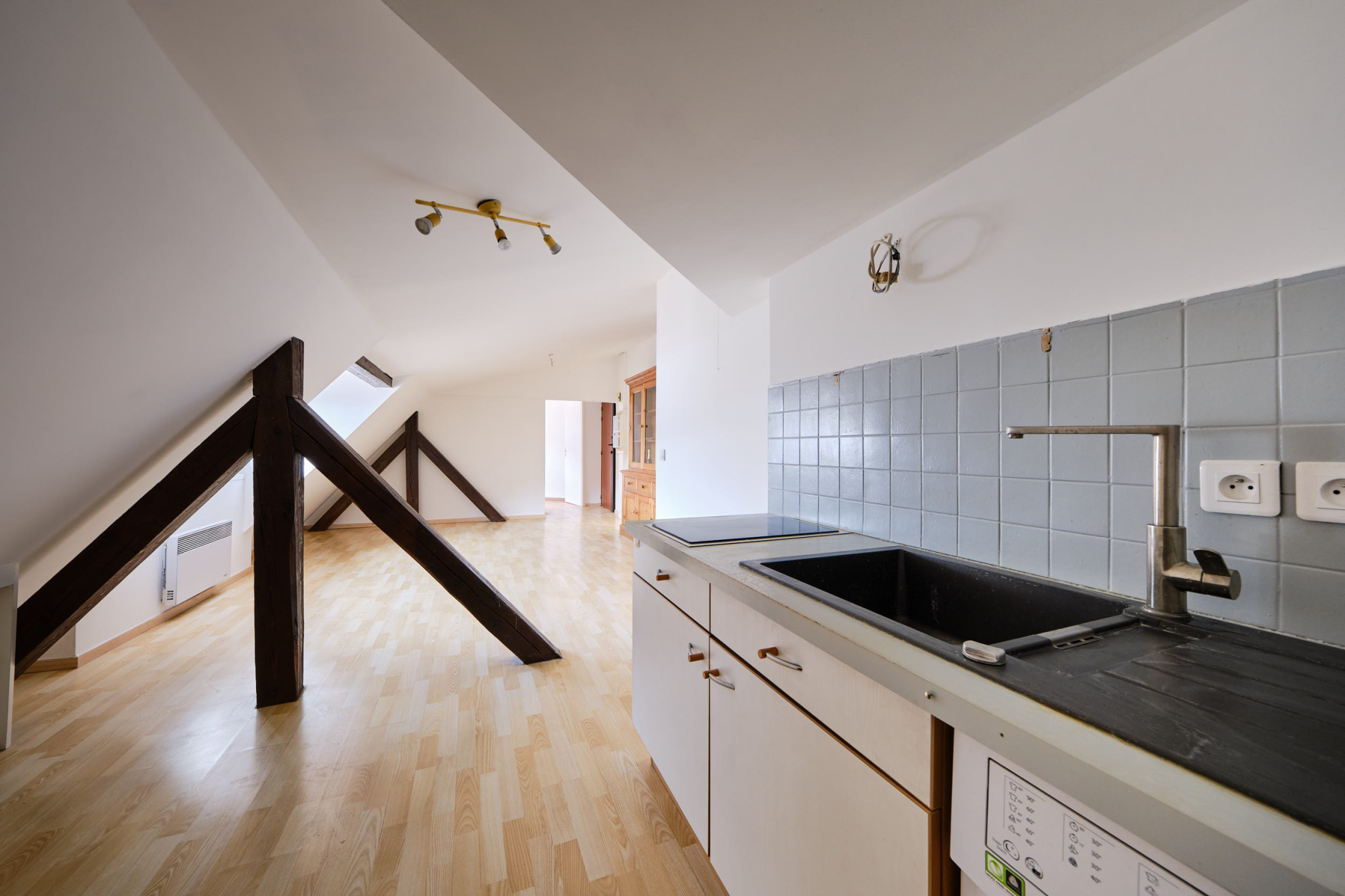 vente appartement ANNECY