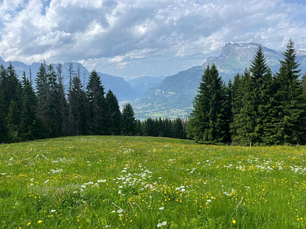 vente maison ST GERVAIS LES BAINS