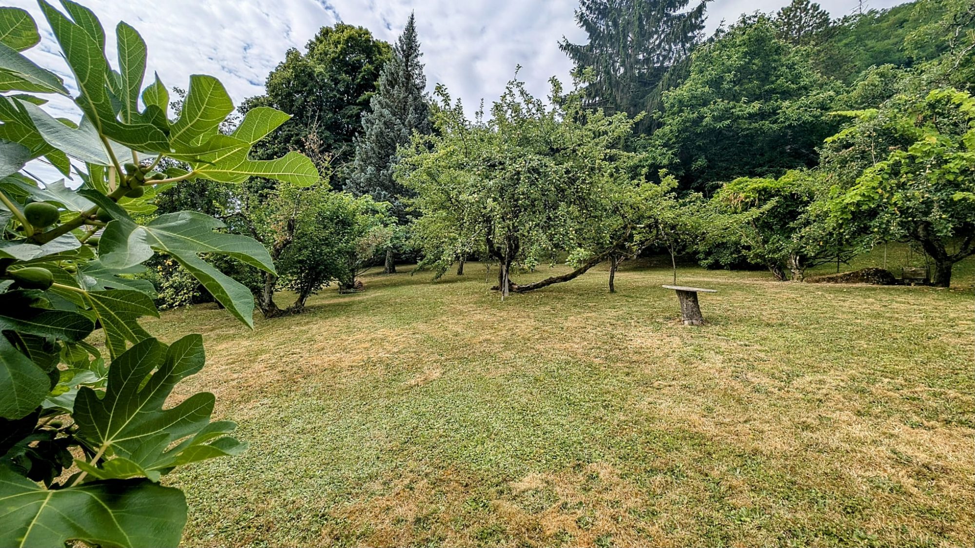 vente terrain MONNETIER MORNEX