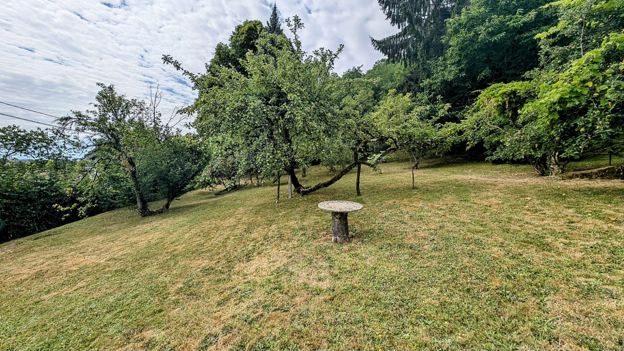 vente terrain MONNETIER MORNEX
