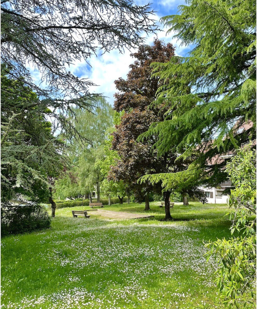 vente appartement POISY